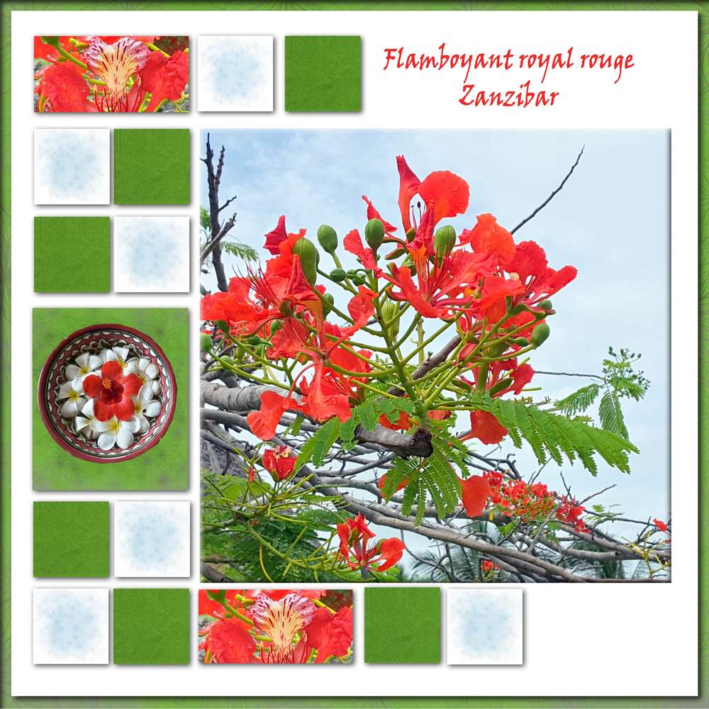 Challenge fleurs de printemps