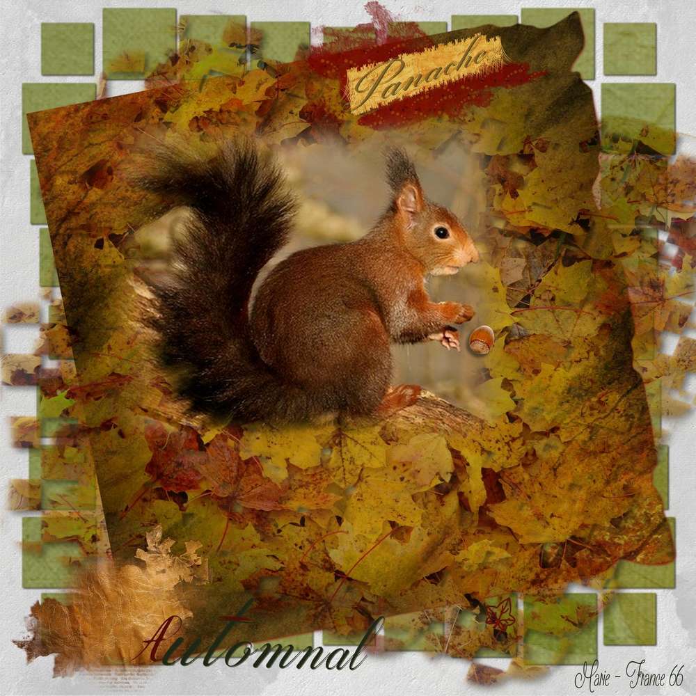 Challenge  Gilberte couleurs automne imposees