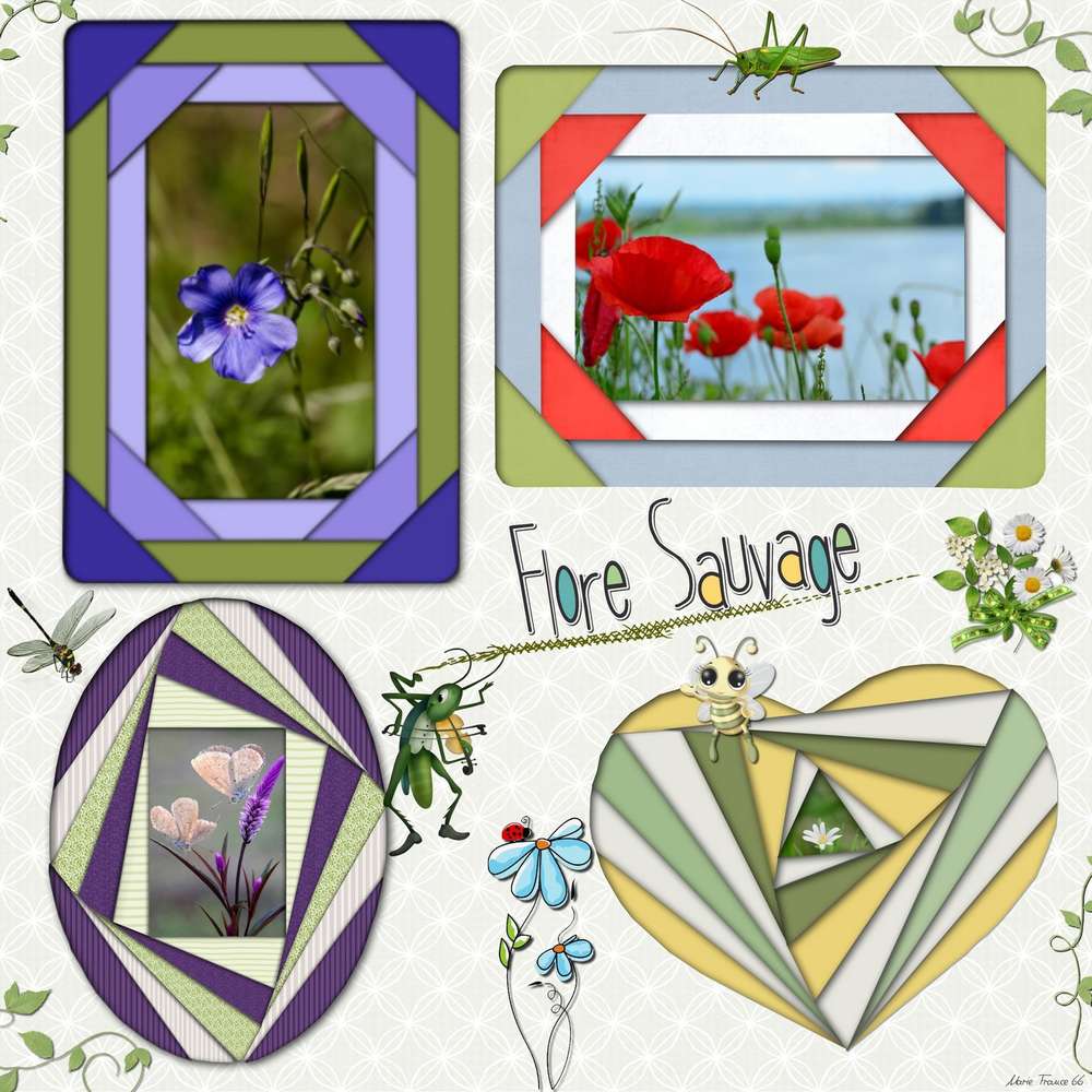 CHALLENGE GILBERTE IRIS FOLDING