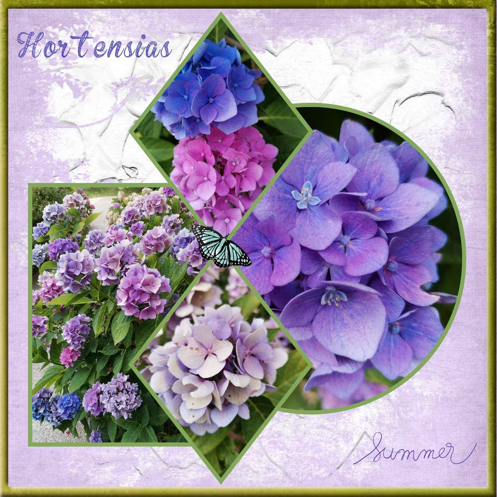 Challenge Gilberte juillet 2019