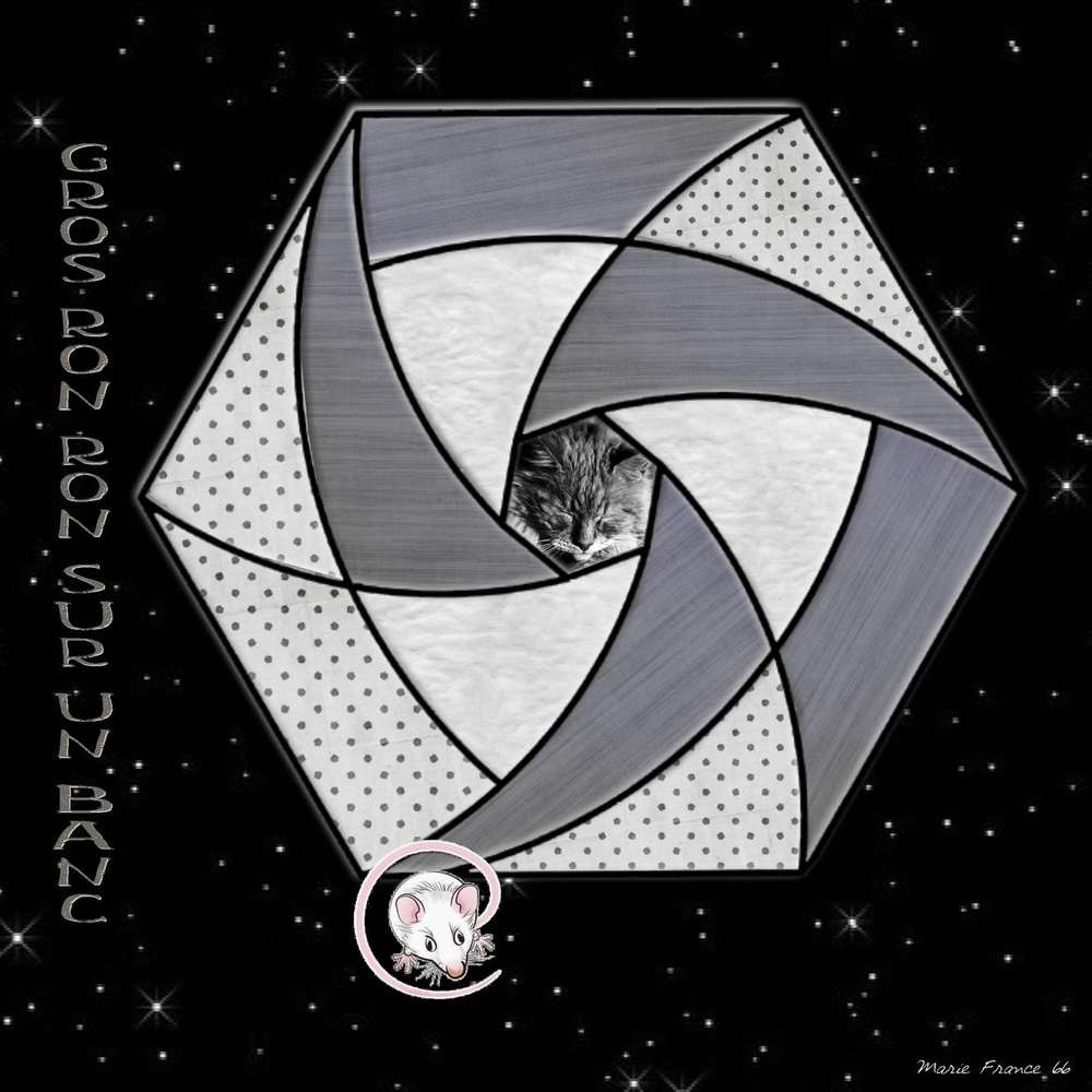 CHALLENGE  GILBERTE LE CHAT