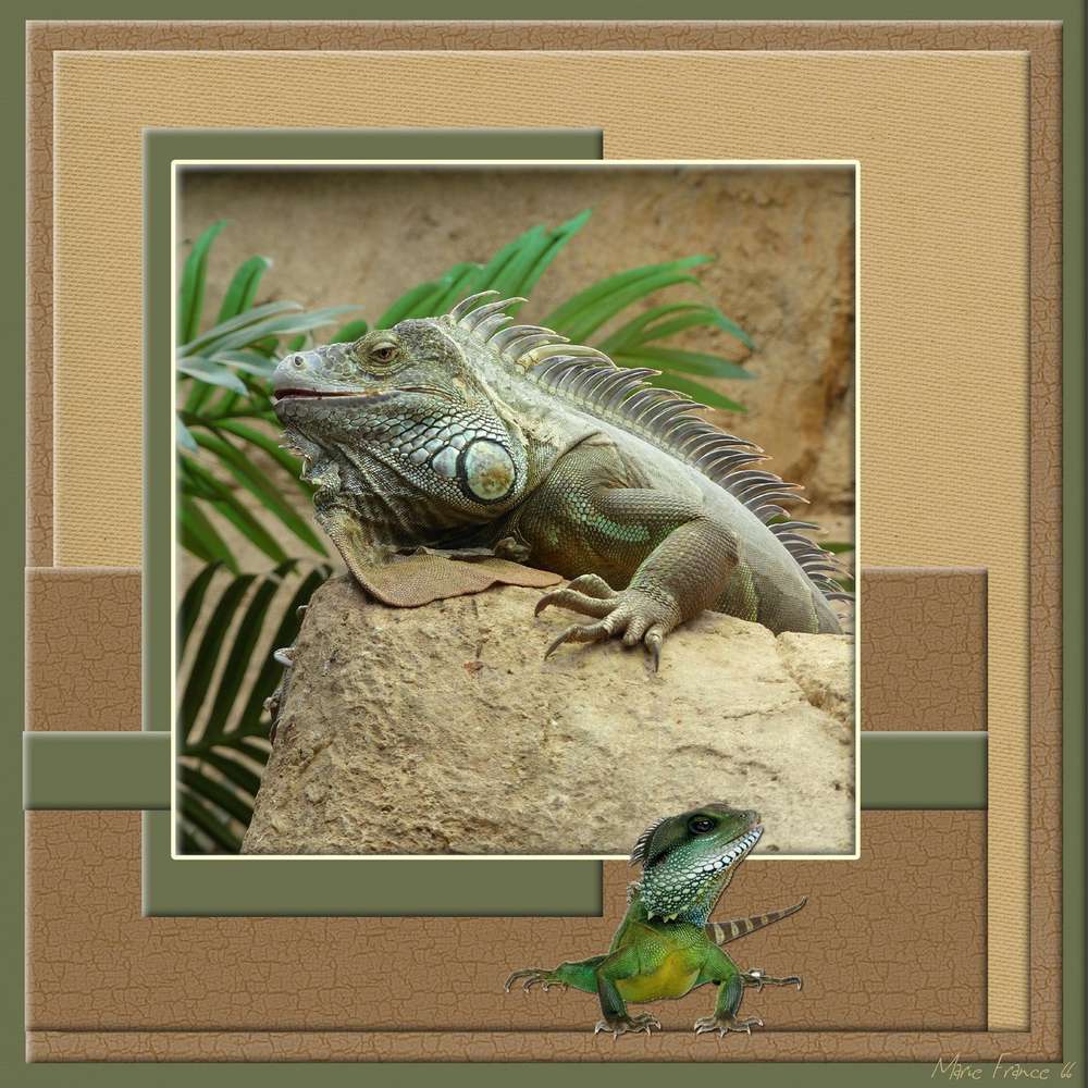 CHALLENGE GILBERTE MAI 2019