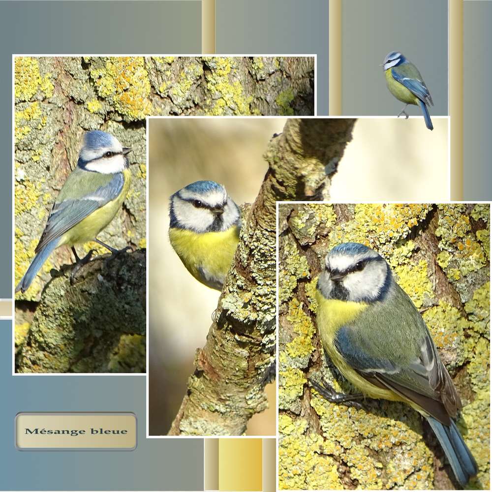 Challenge Gilberte Mars 2019