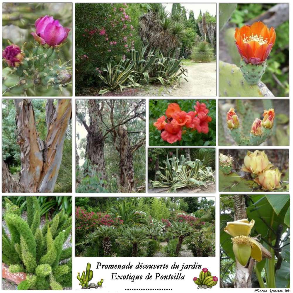 CHALLENGE GILBERTE PELE MELE 2