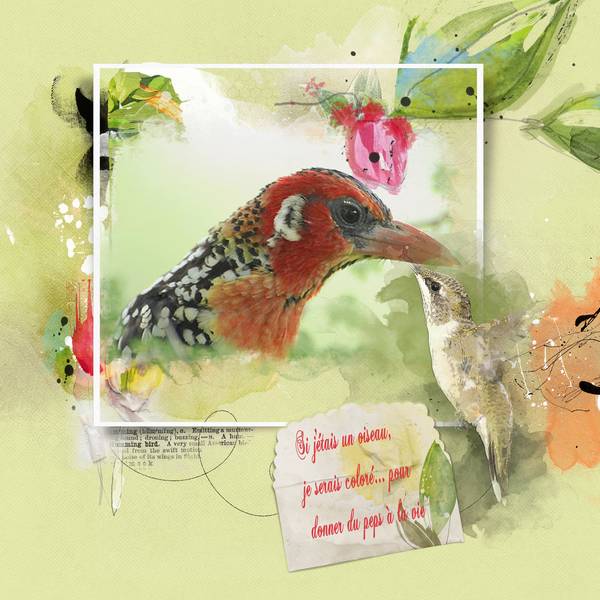 Challenge Gilberte - si j'étais un oiseau...