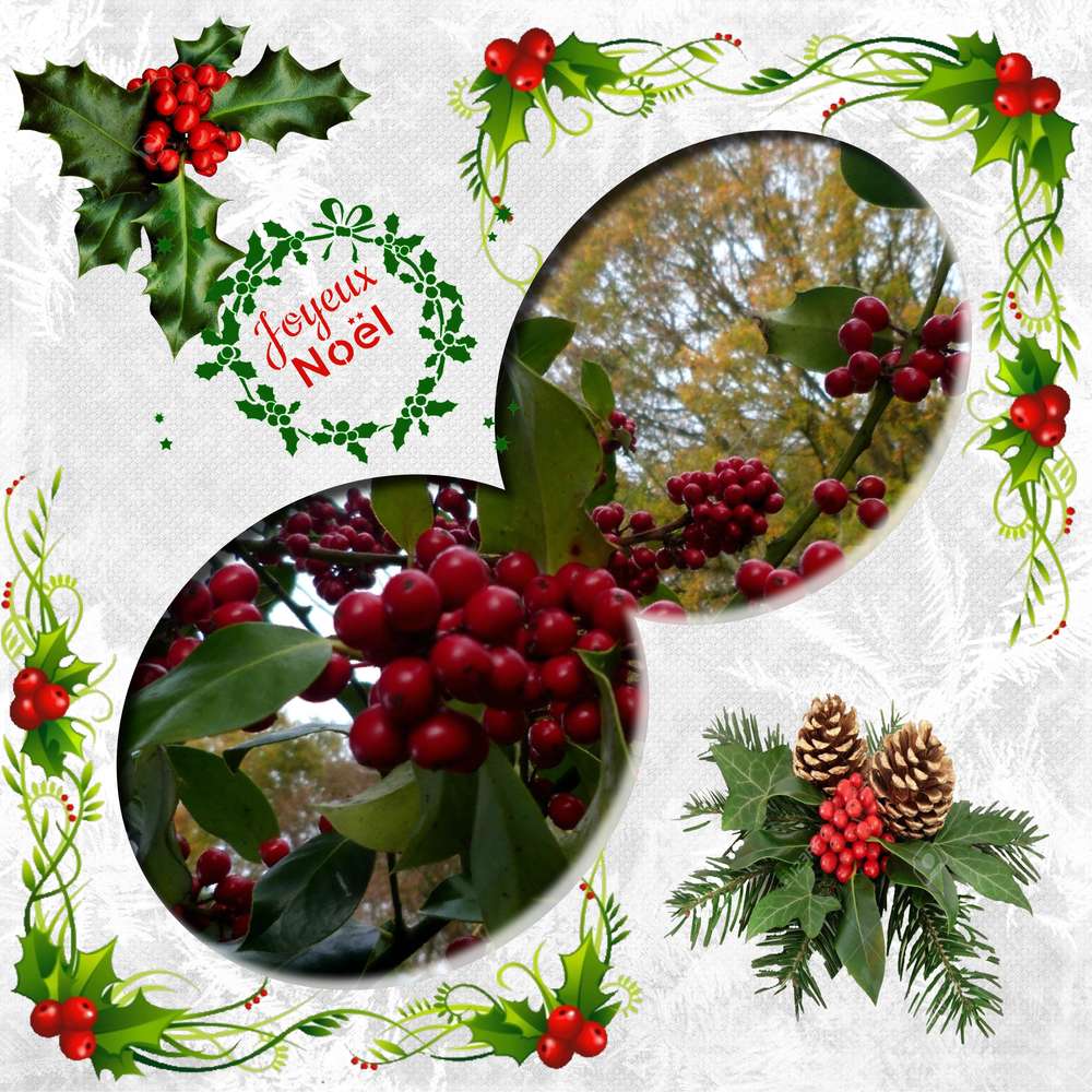 challenge houx n° 10