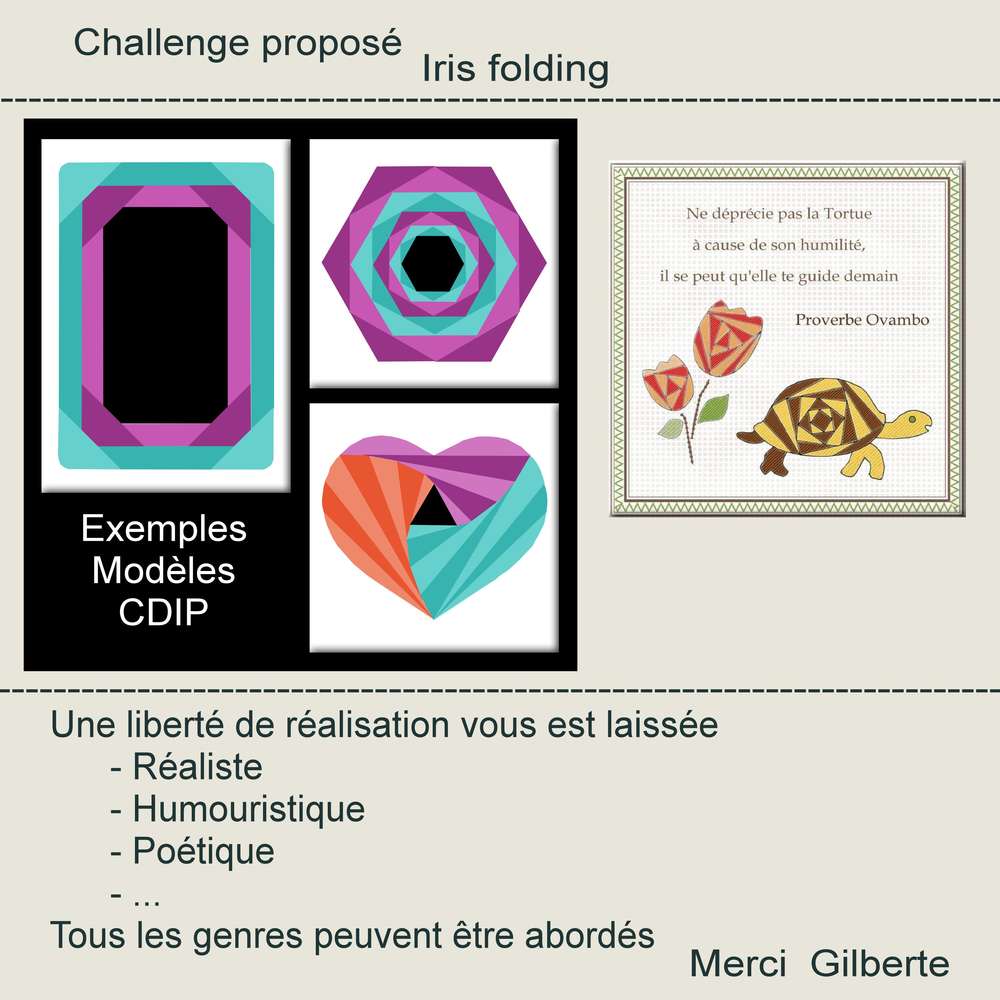 CHALLENGE - IRIS FOLDING