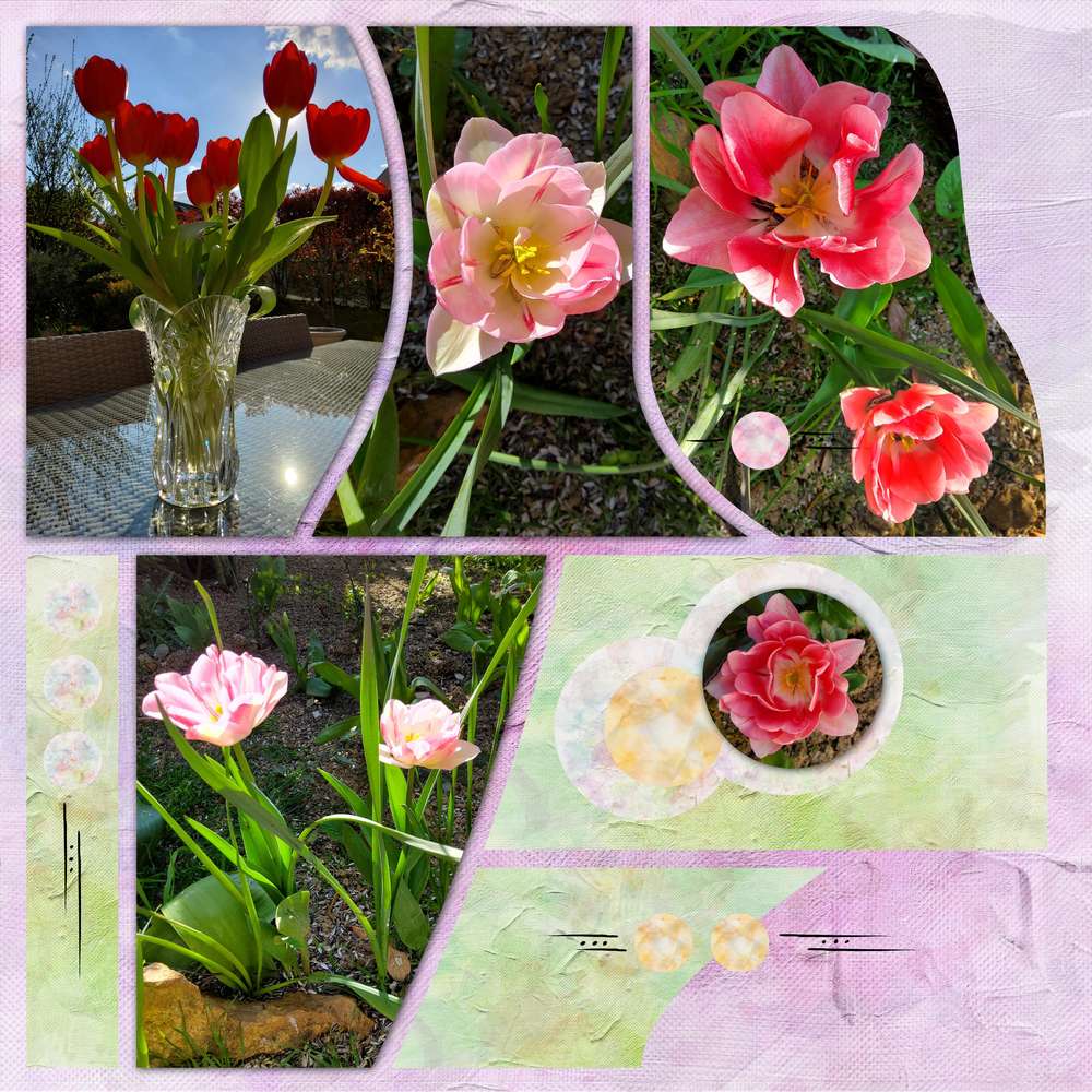 Challenge Liligraphik