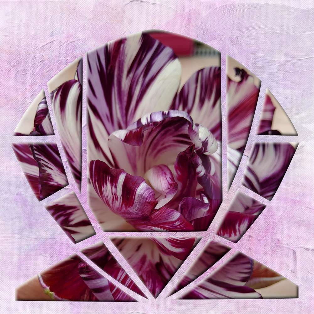 Challenge Liligraphik