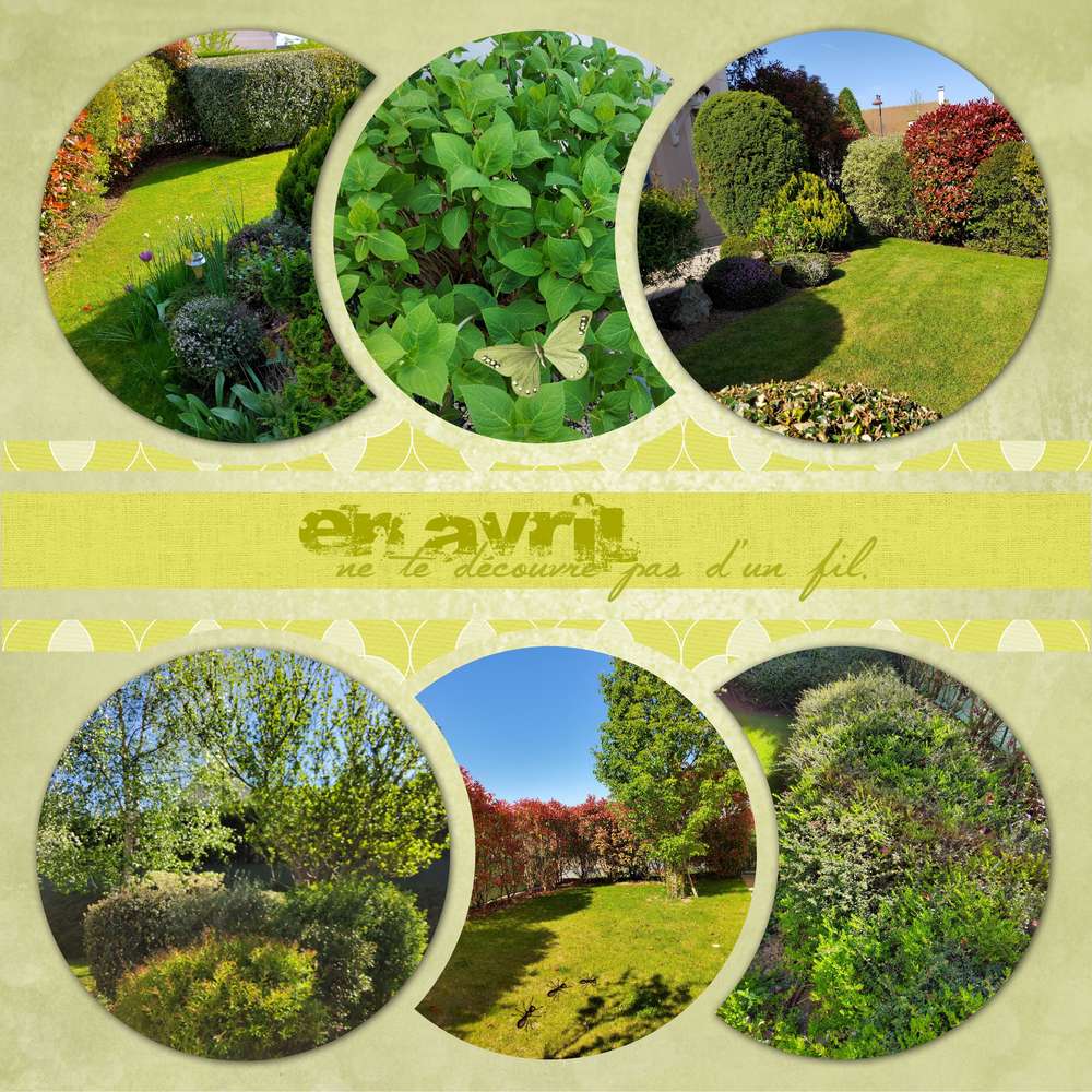 Challenge Liligraphik