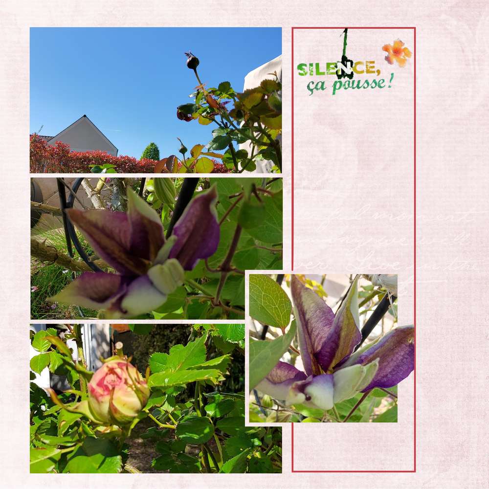 Challenge Liligraphik