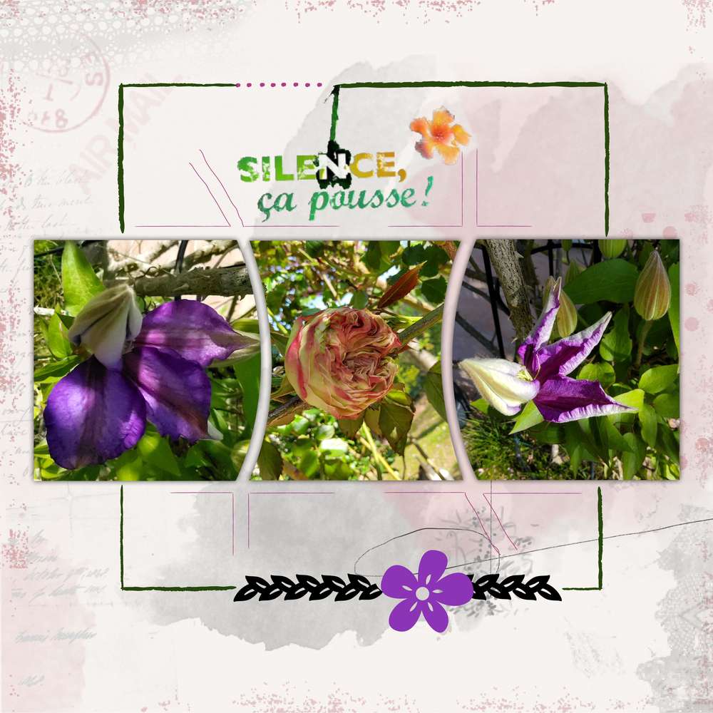 Challenge Liligraphik