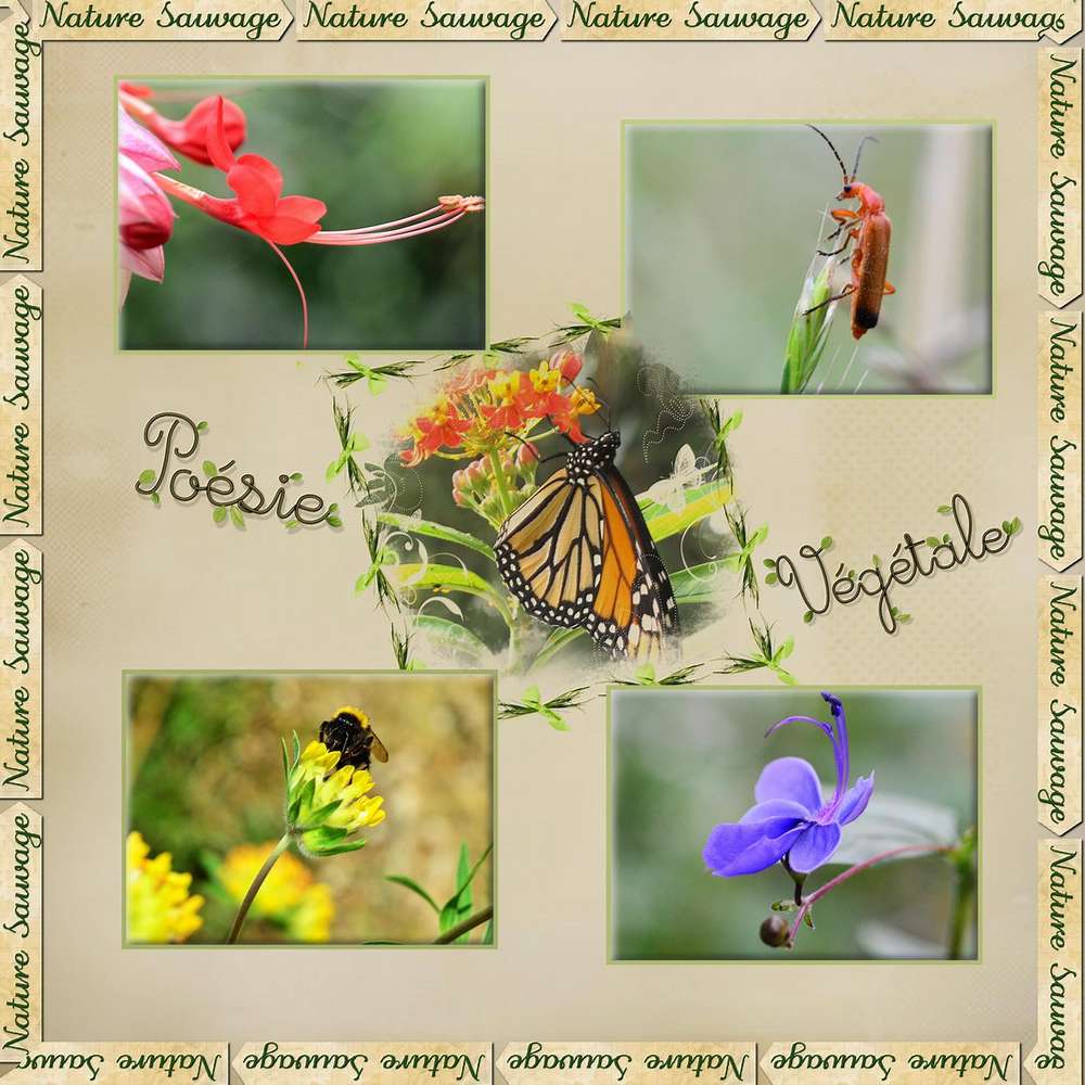 CHALLENGE MACROS MAX