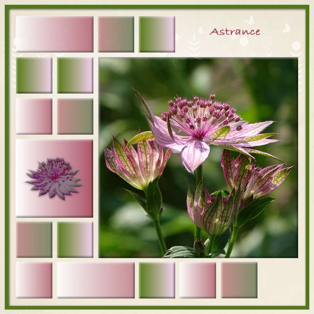 Challenge Marie-France - Fleurs de printemps - vendredi 03 avril 2020