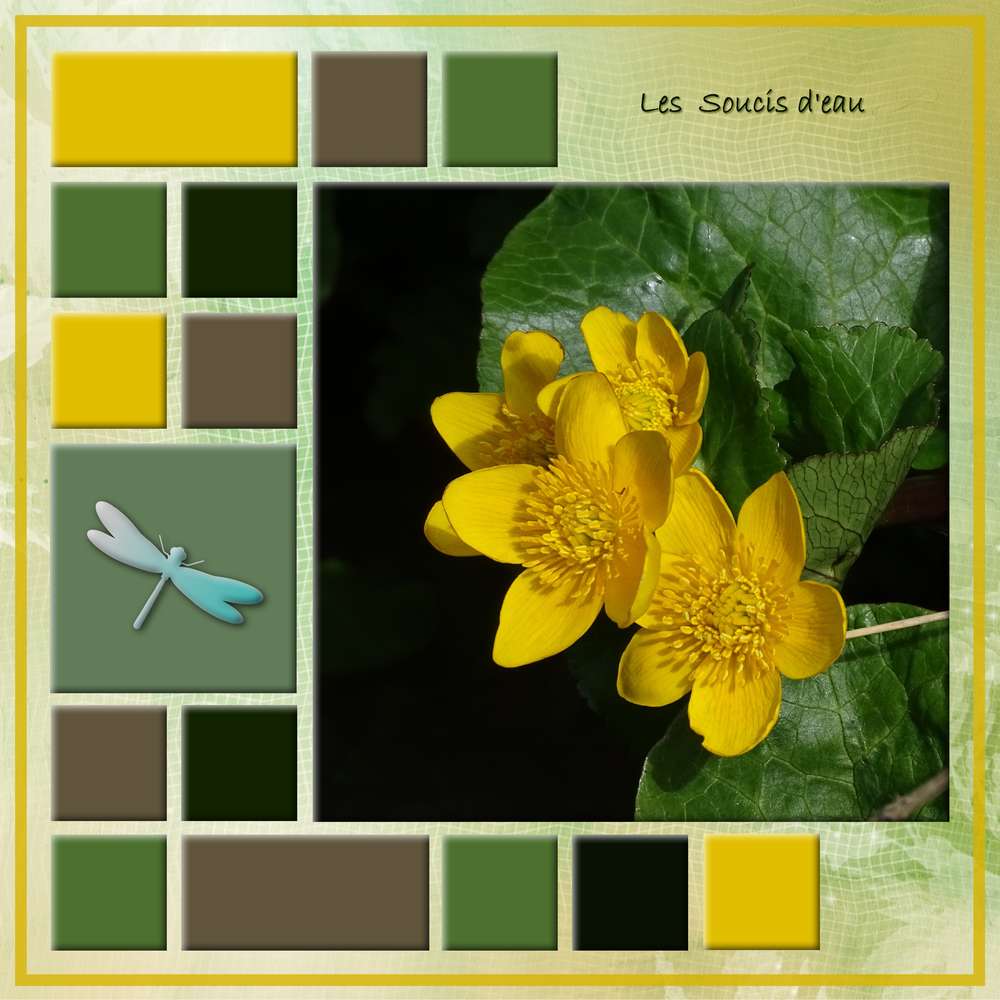 Challenge Marie-France fleurs de printemps