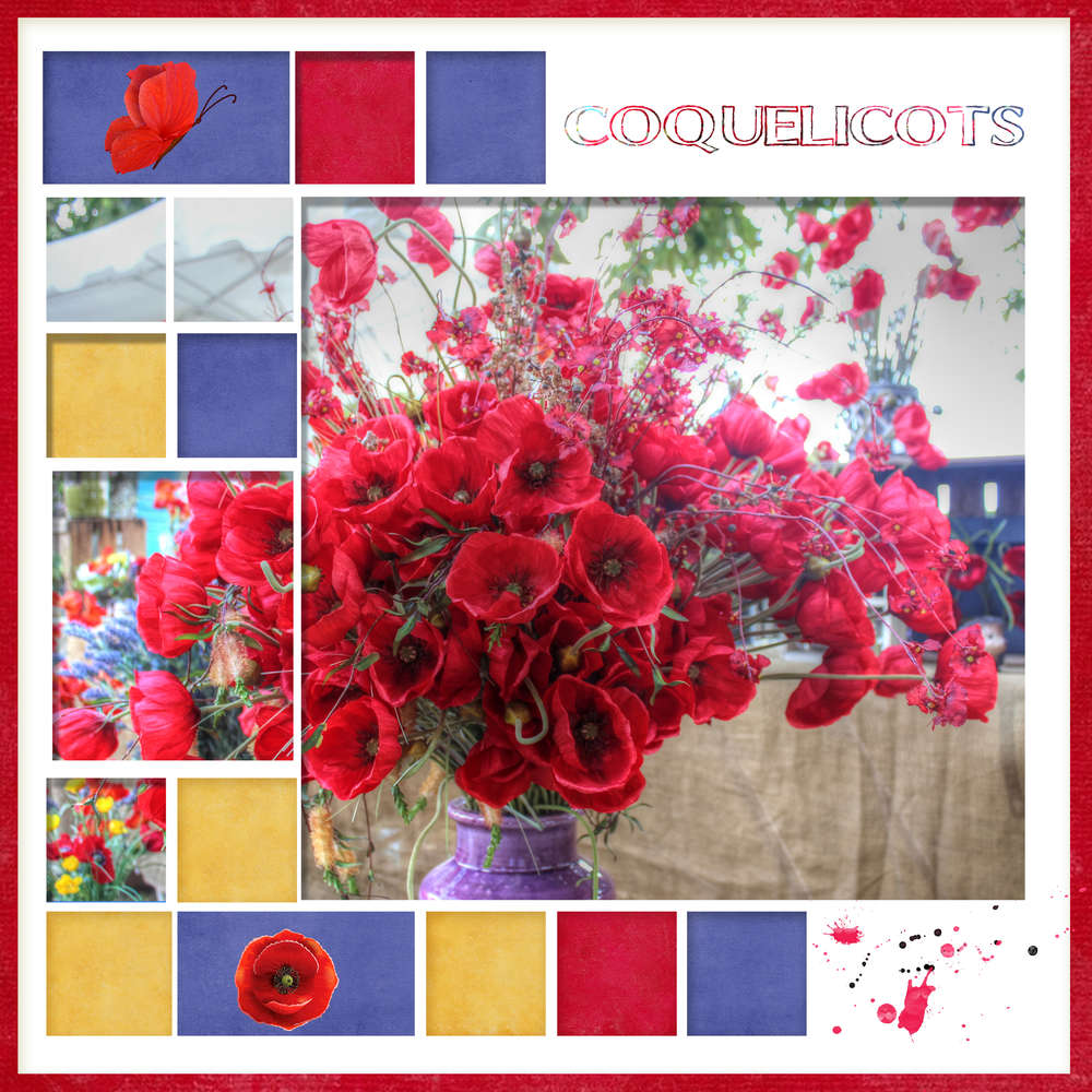 Challenge Marie france