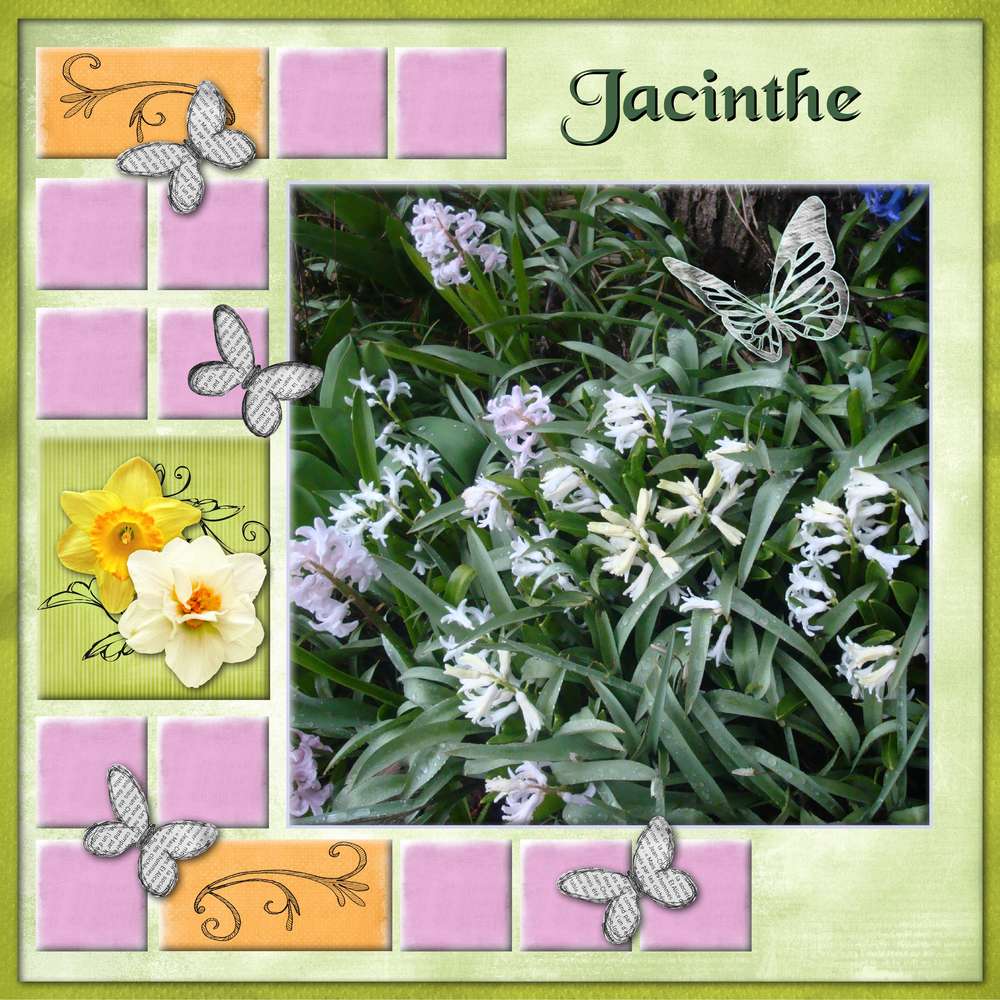 Challenge Marie France