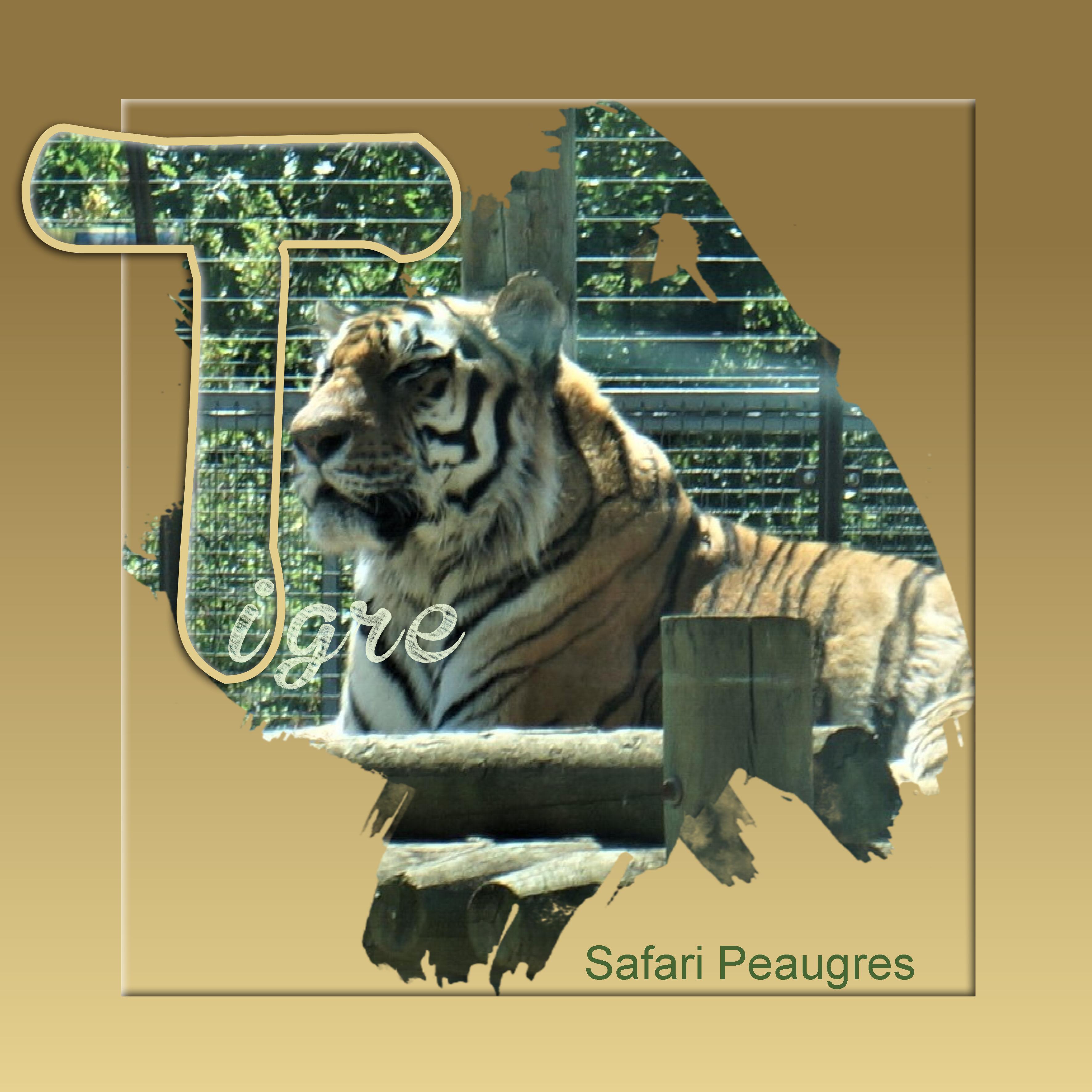 challenge marie Rose 19 08 2022.jpg