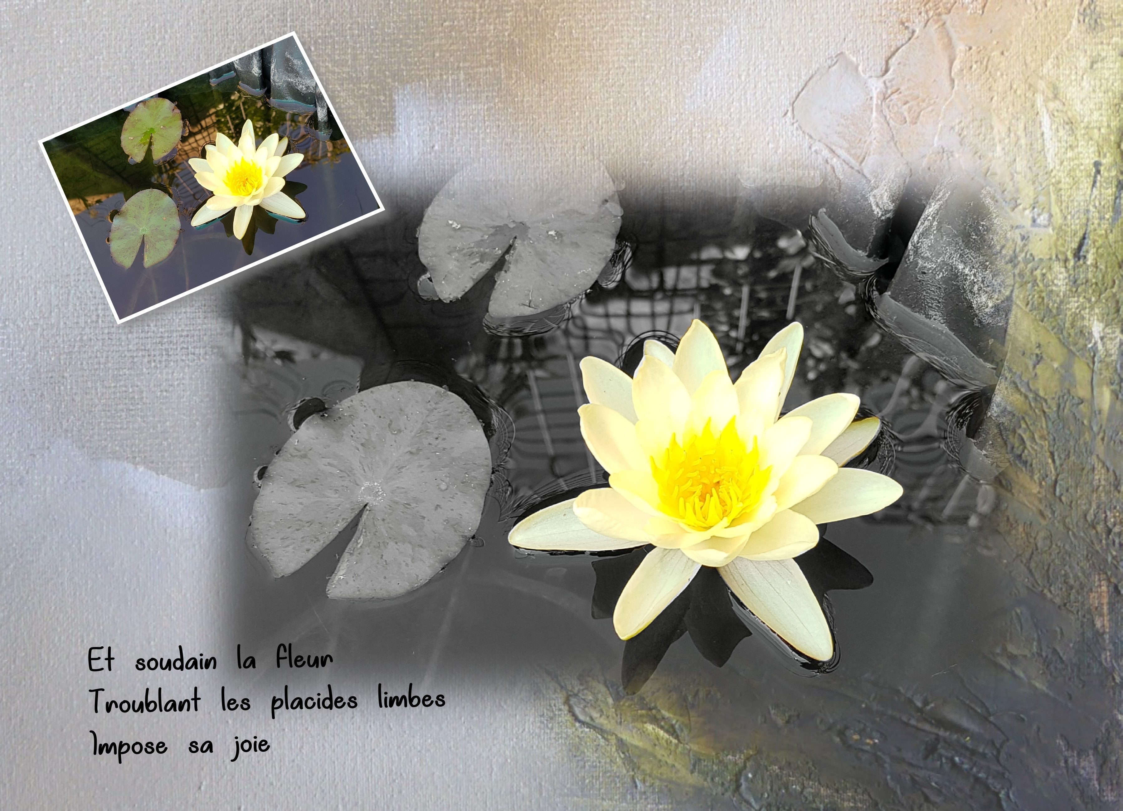 challenge marie rose-defimrm.jpg