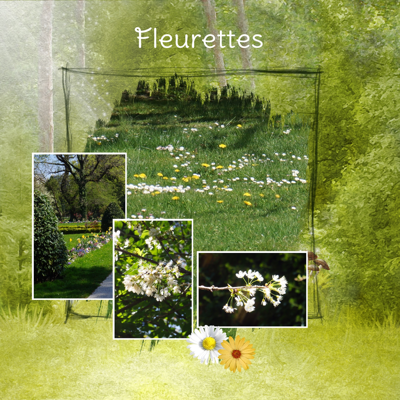 Challenge  Marie Rose fleurettes.jpg