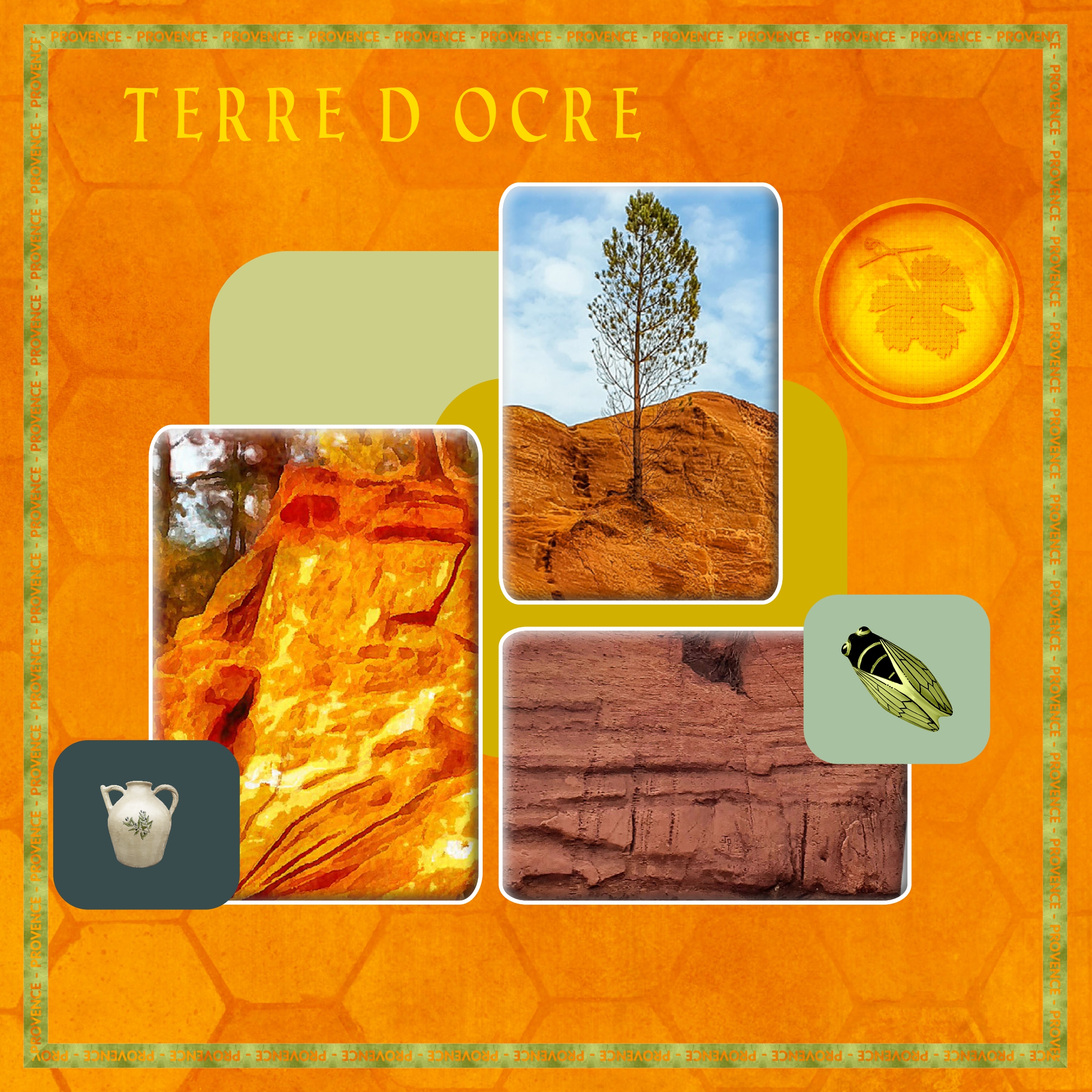 challenge Martinas ocre.jpg