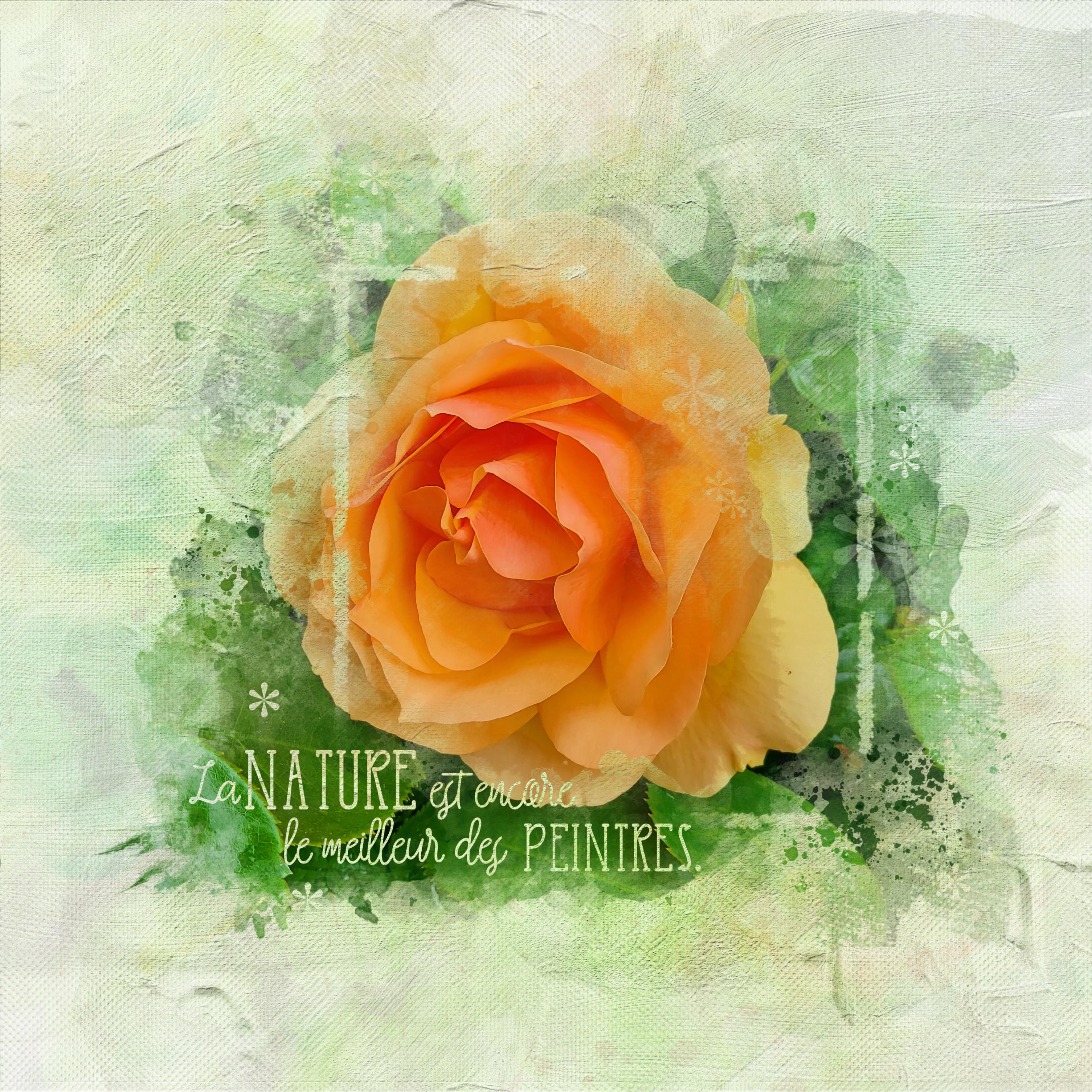 Challenge masque (page 2).jpg