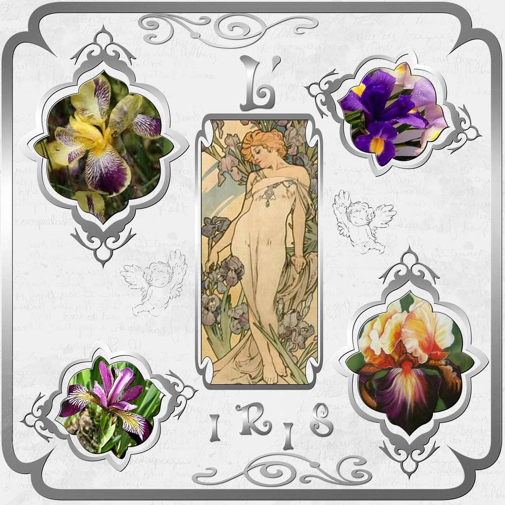 Challenge Max fleurs en mythologie