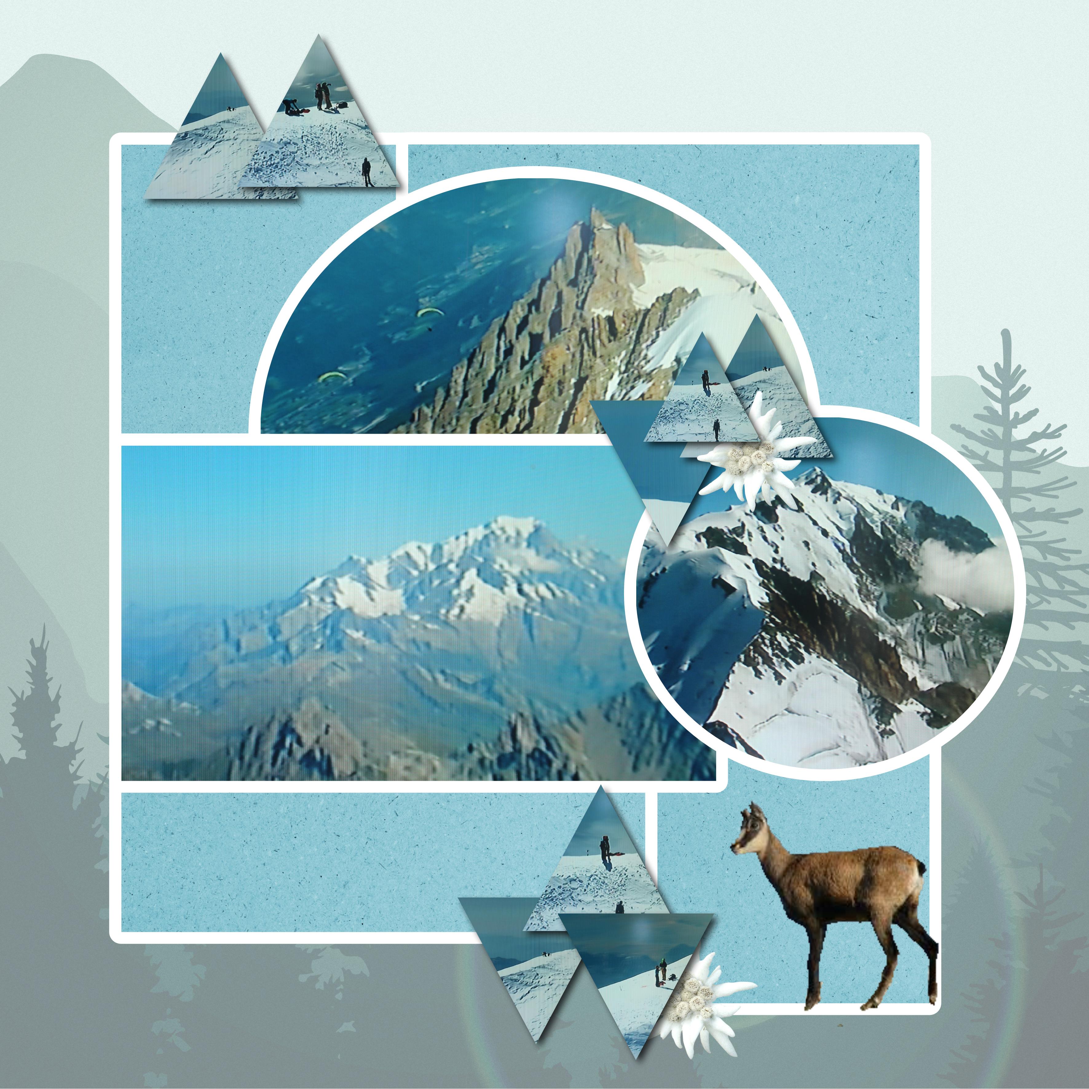 challenge Moyson.jpg