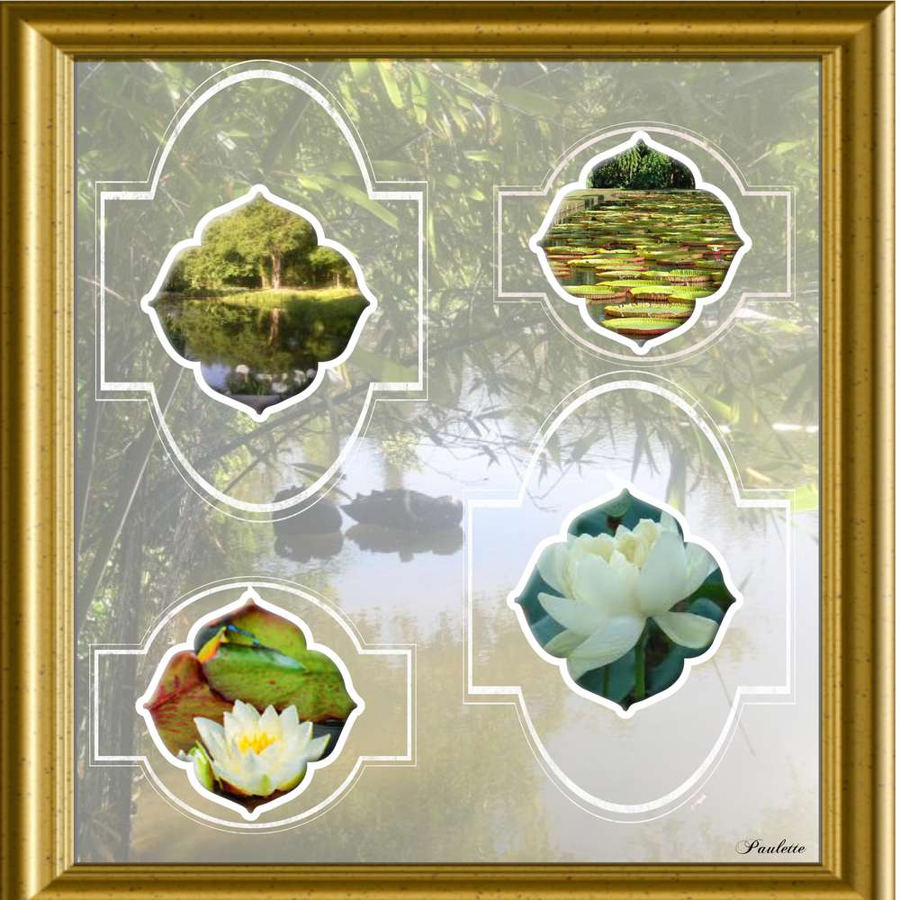 challenge nature max