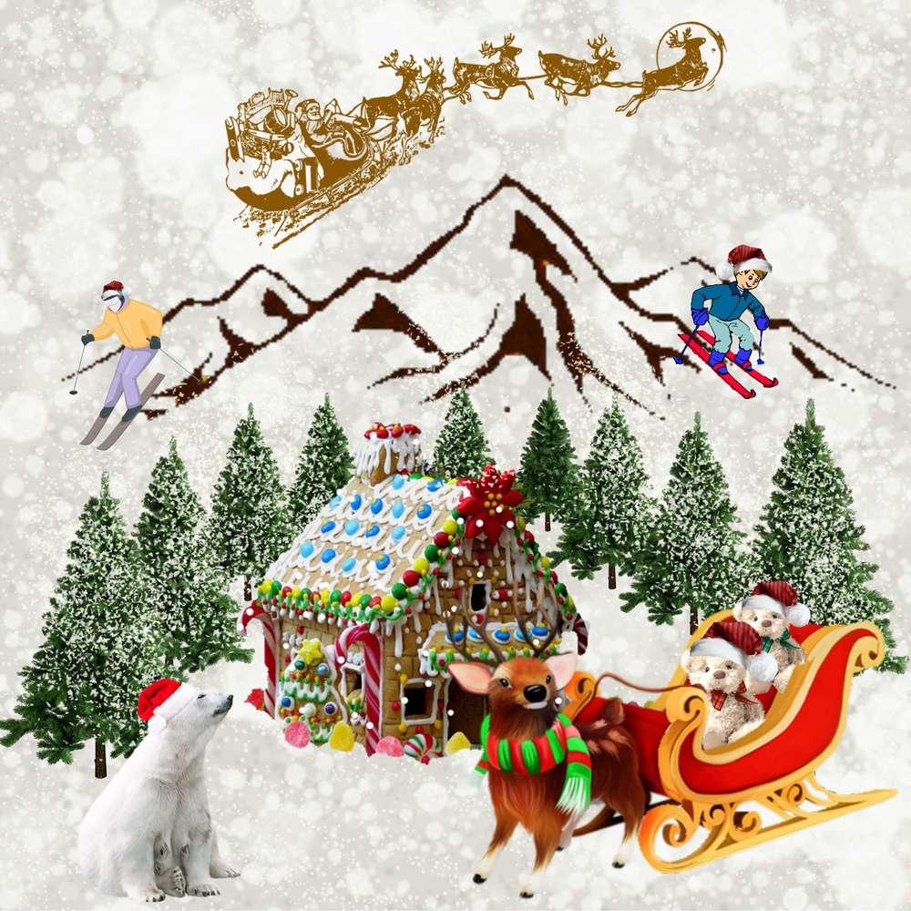 challenge ours N° 16