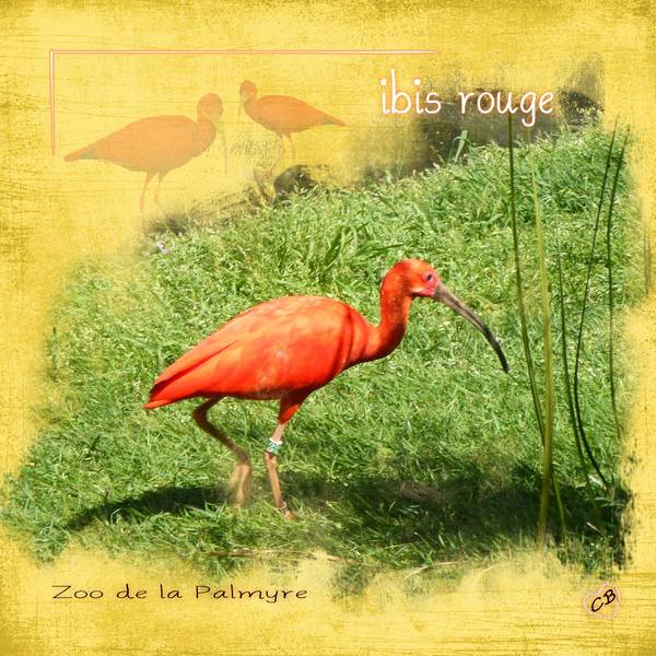 Challenge palette de couleurs Gilberte