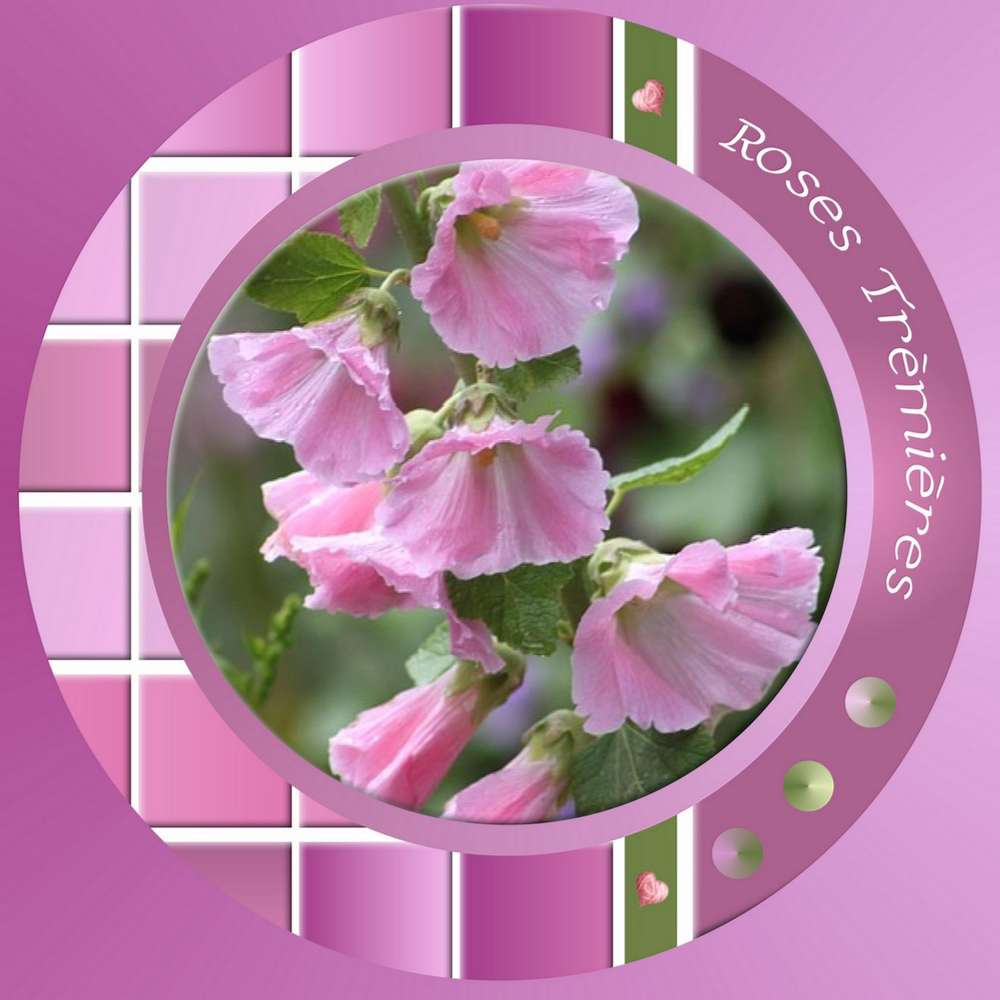 Challenge Paulette degrade de couleurs