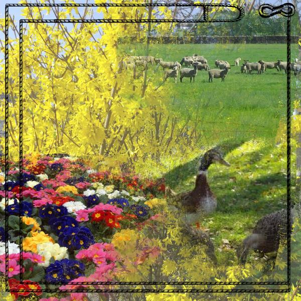 Challenge paysage printemps