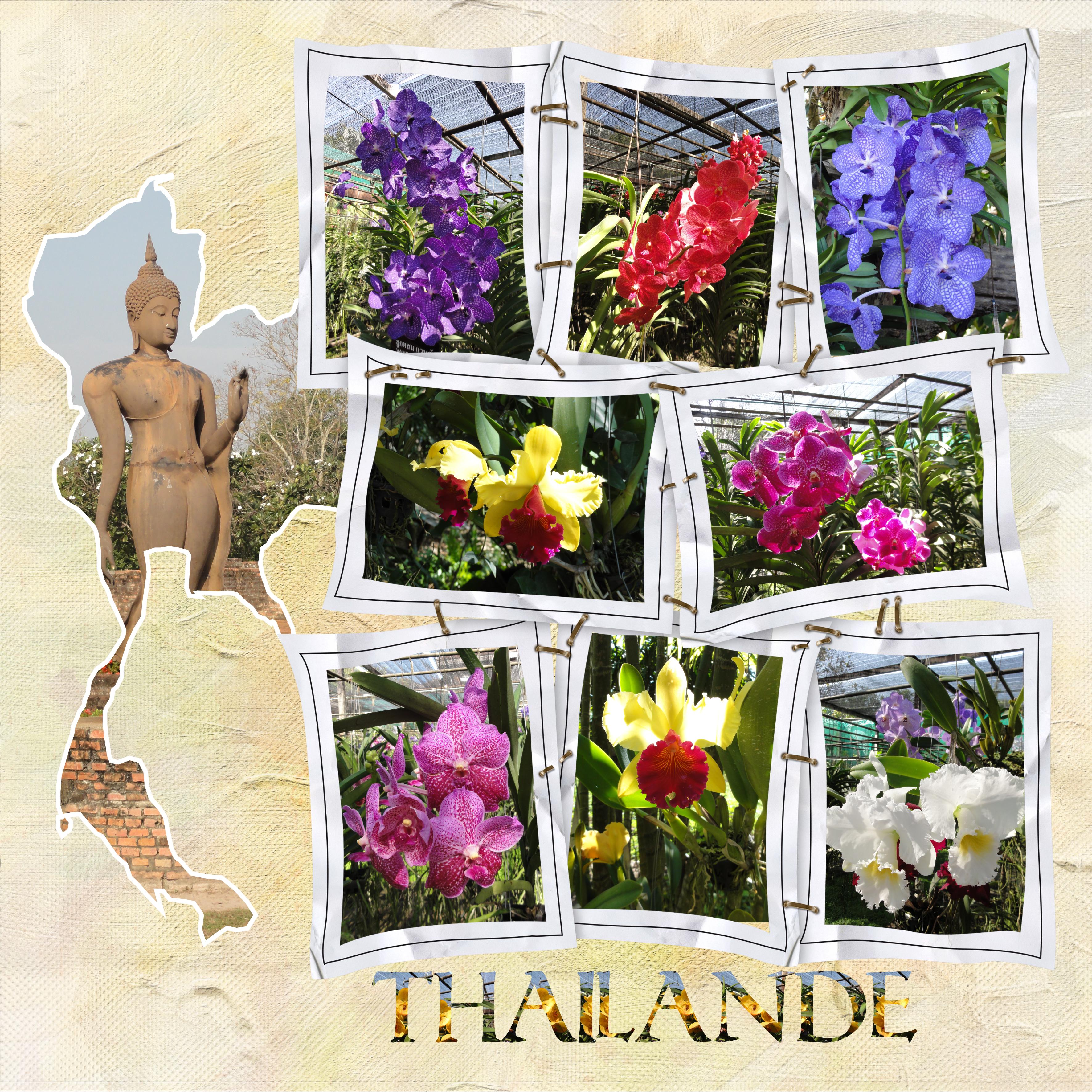 Challenge pêle mêle Thaïlande.jpg