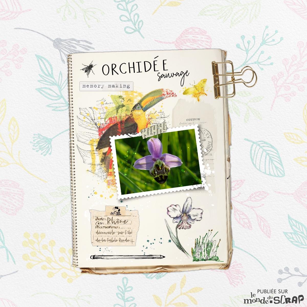 Challenge photo Aliselle