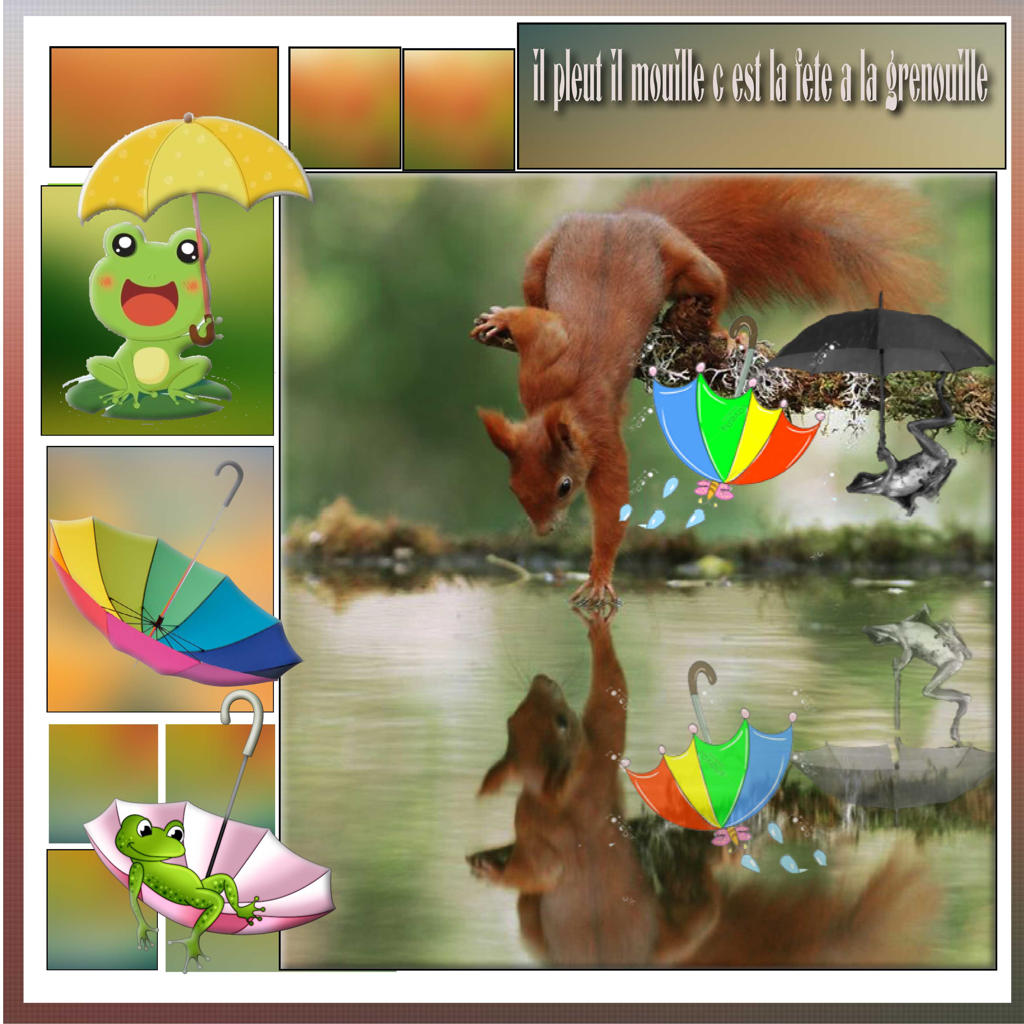 challenge photo la grenouille.jpg