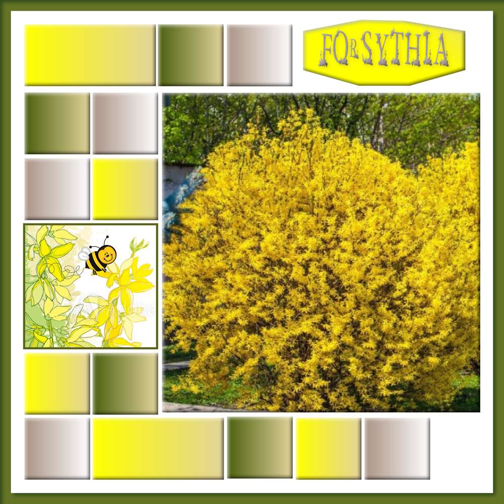 challenge printemps 02/04