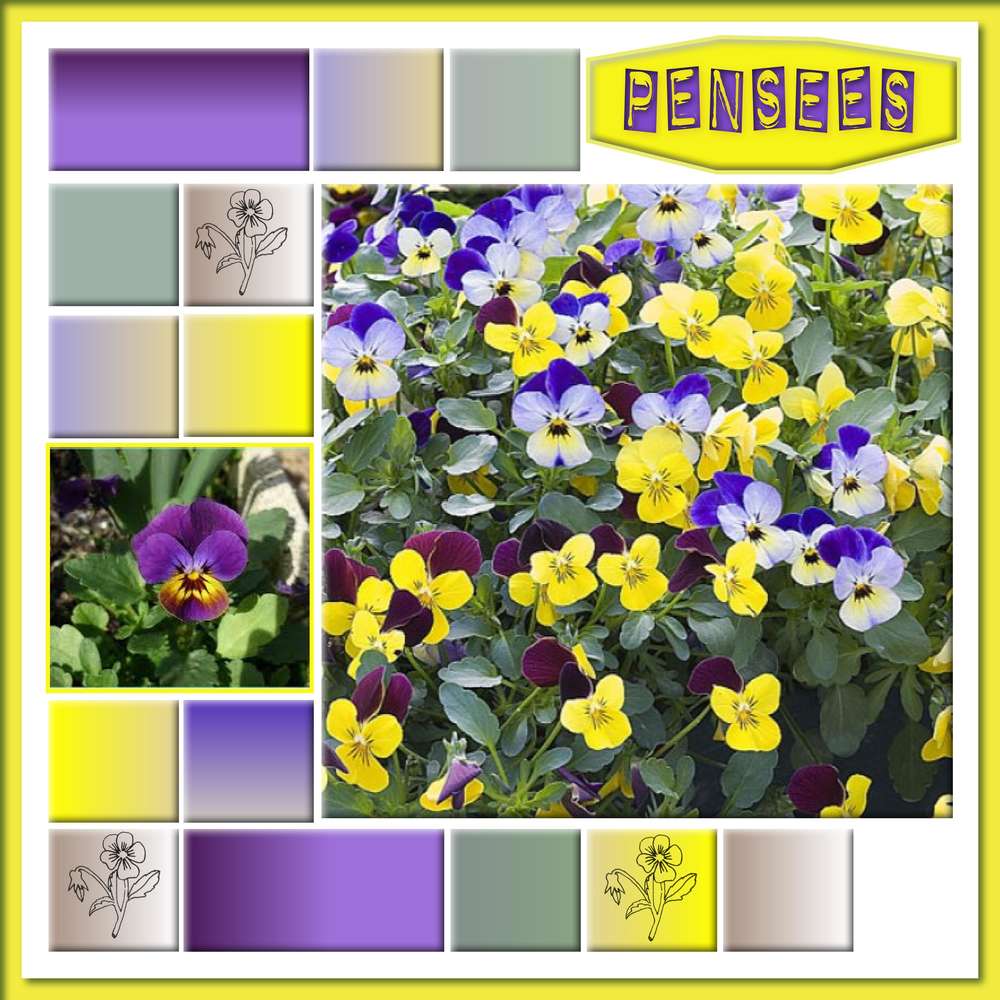 challenge printemps 04/04