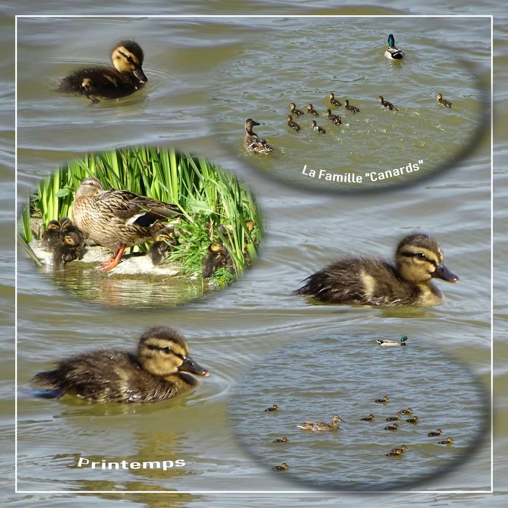 Challenge Printemps - 10 - La Famille