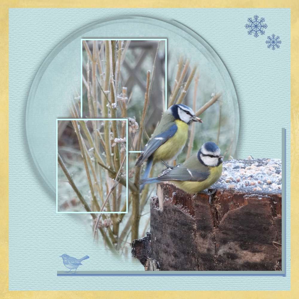 Challenge printemps 13 avril