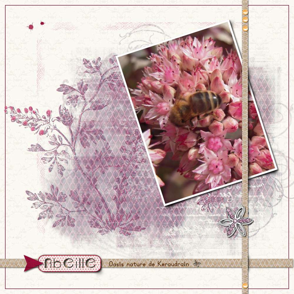 challenge printemps 16 avril abeille