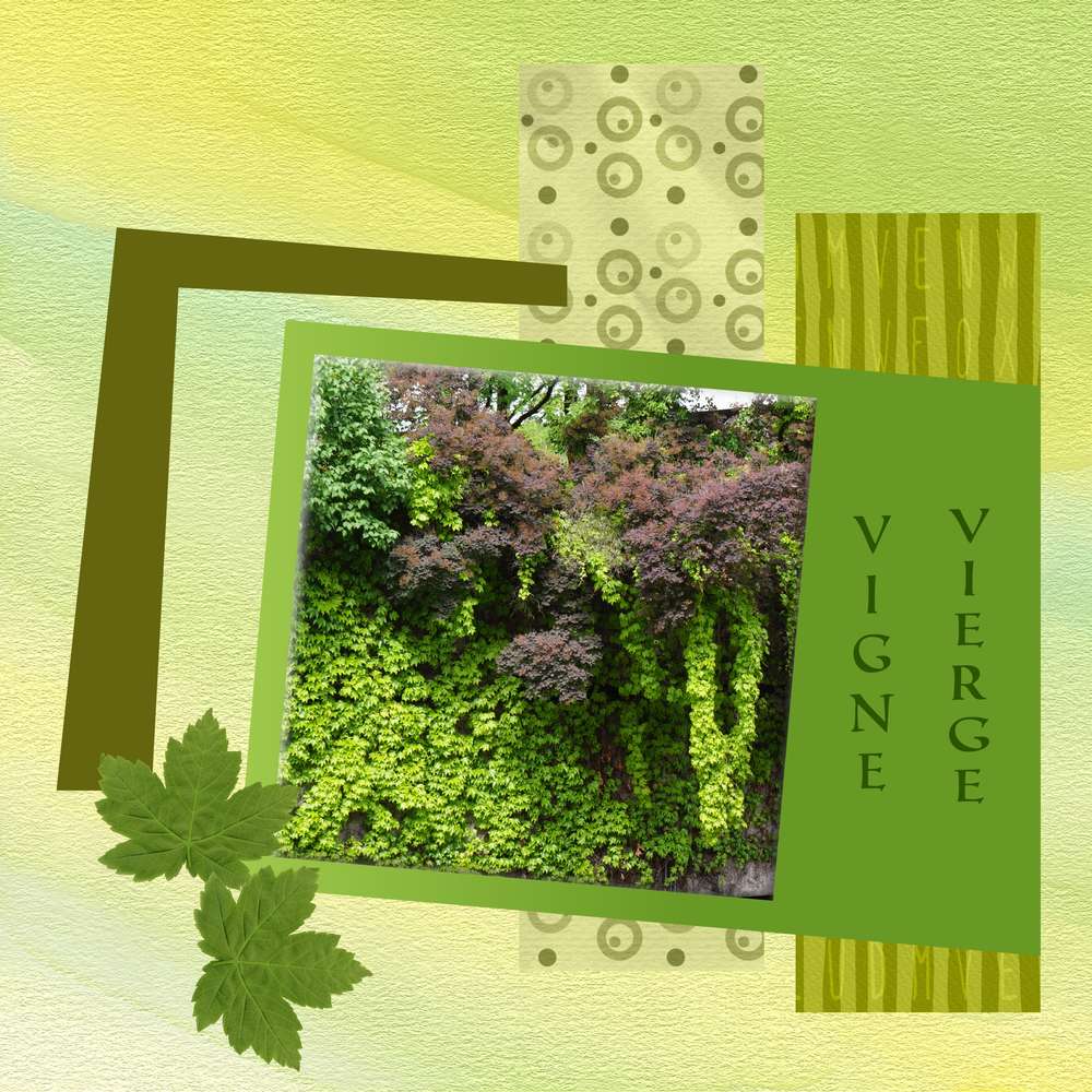 Challenge printemps 22