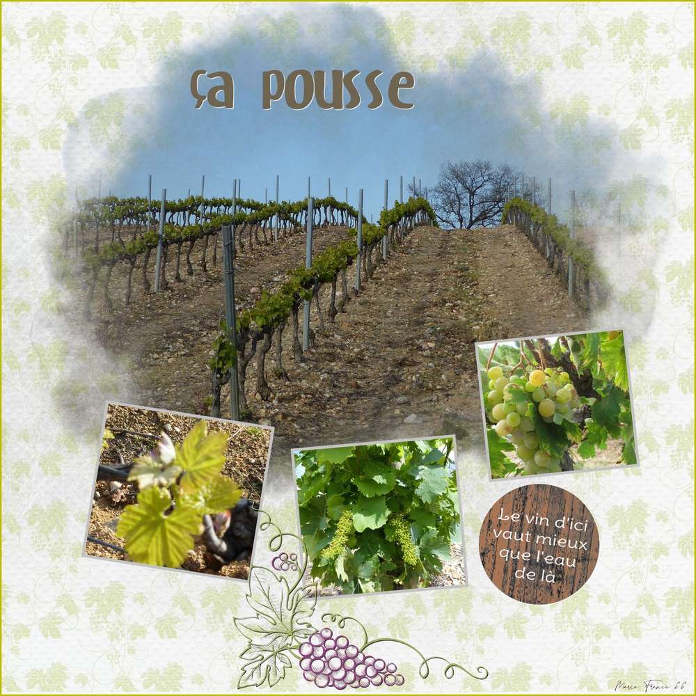 challenge-printemps-28-çapousse