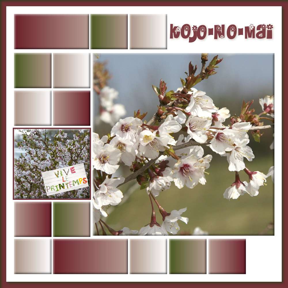 challenge printemps 31/03