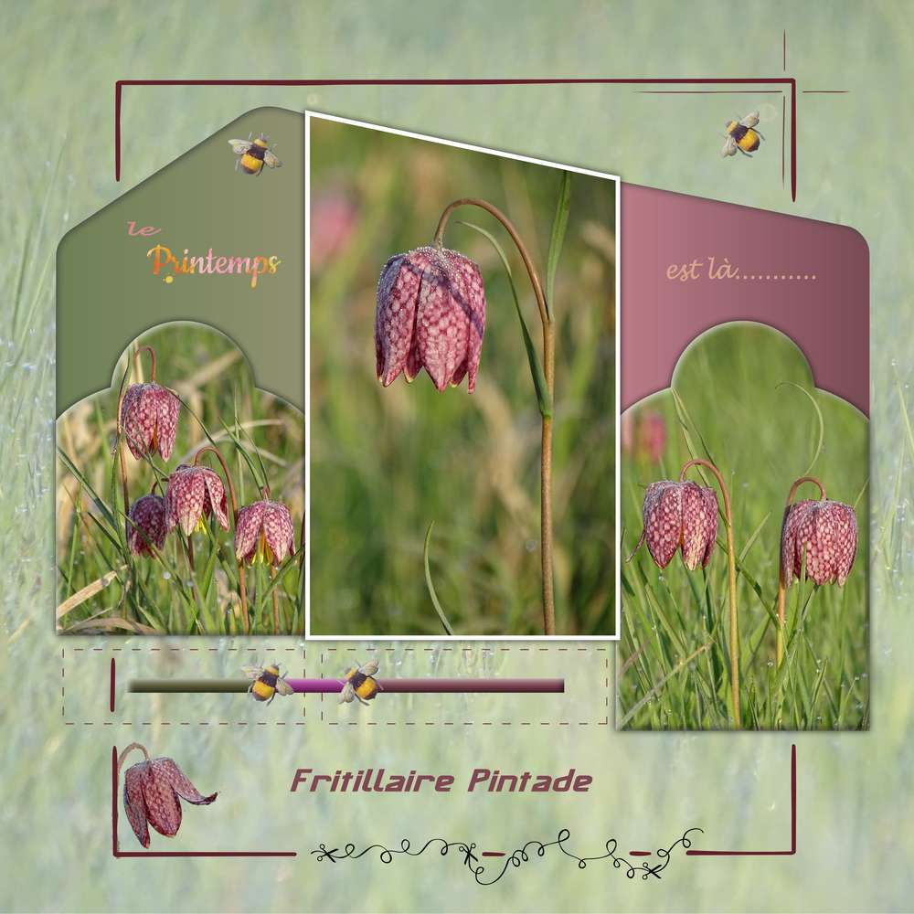 Challenge Printemps - 4 -