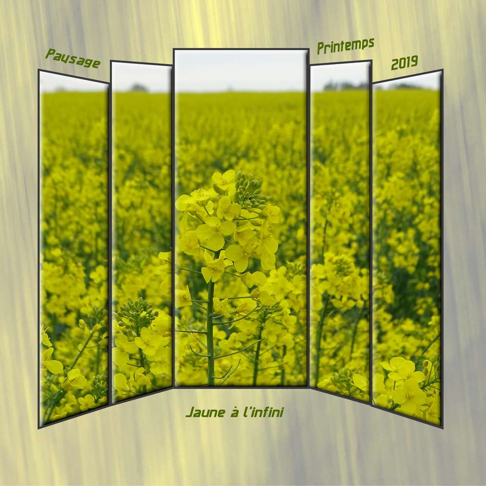 Challenge printemps - 7 Paysage