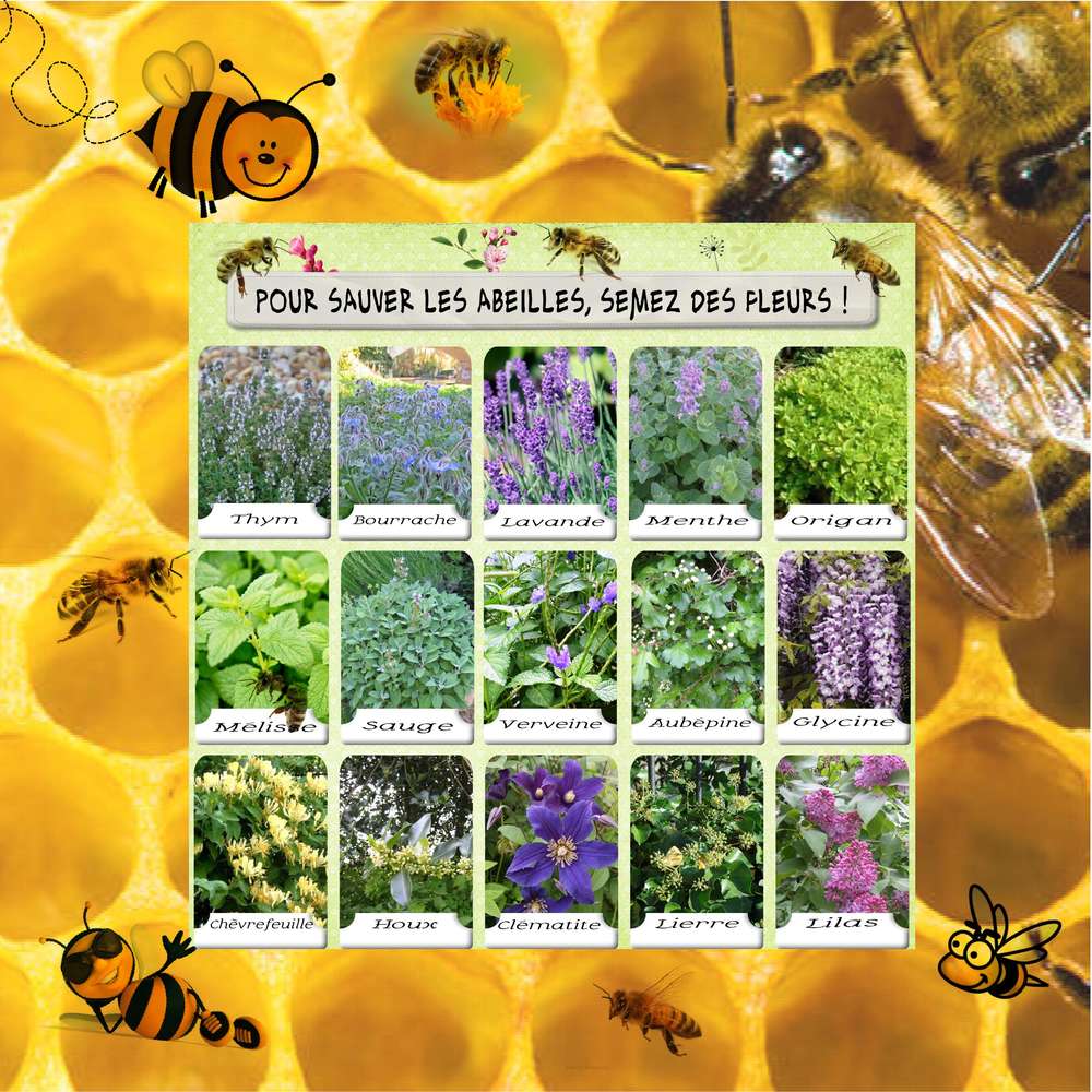 Challenge printemps abeille 1