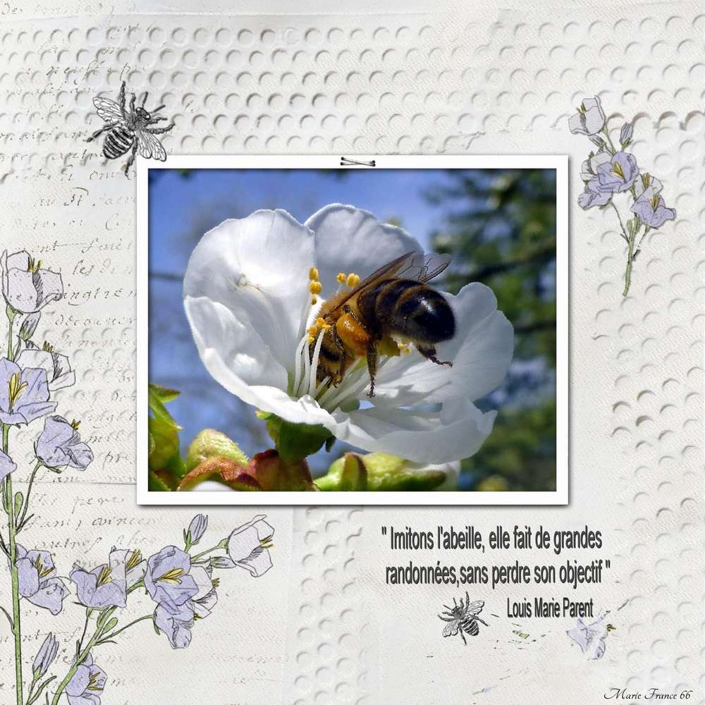 CHALLENGE PRINTEMPS ABEILLE 1