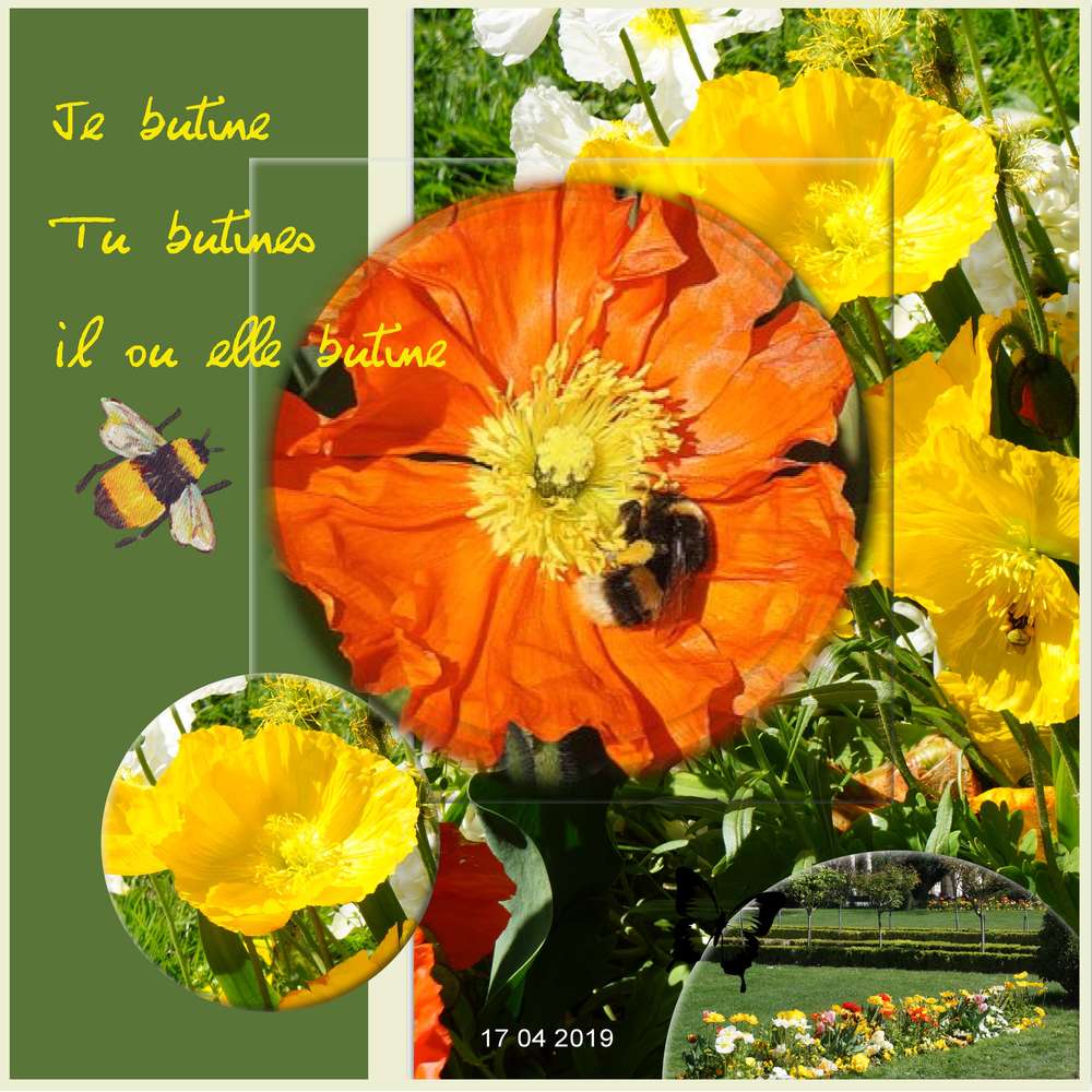 challenge printemps: abeille