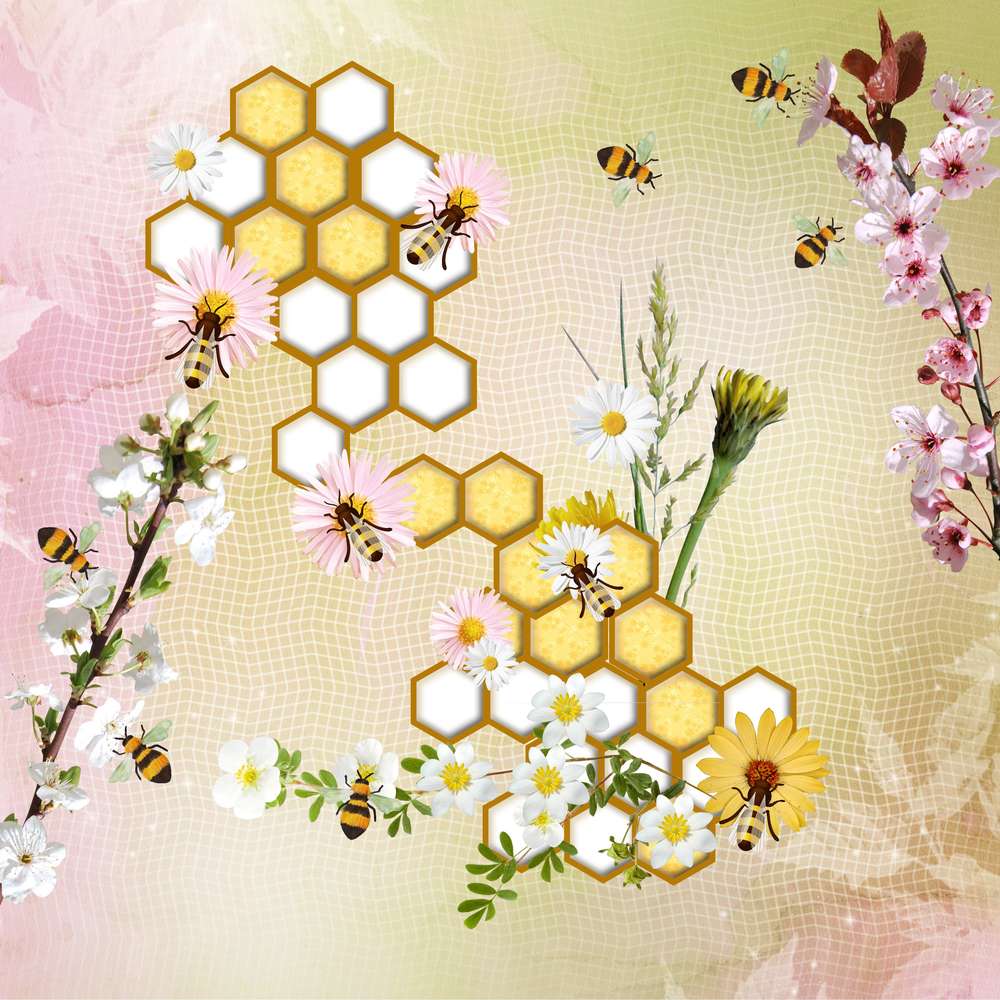 Challenge printemps: abeilles